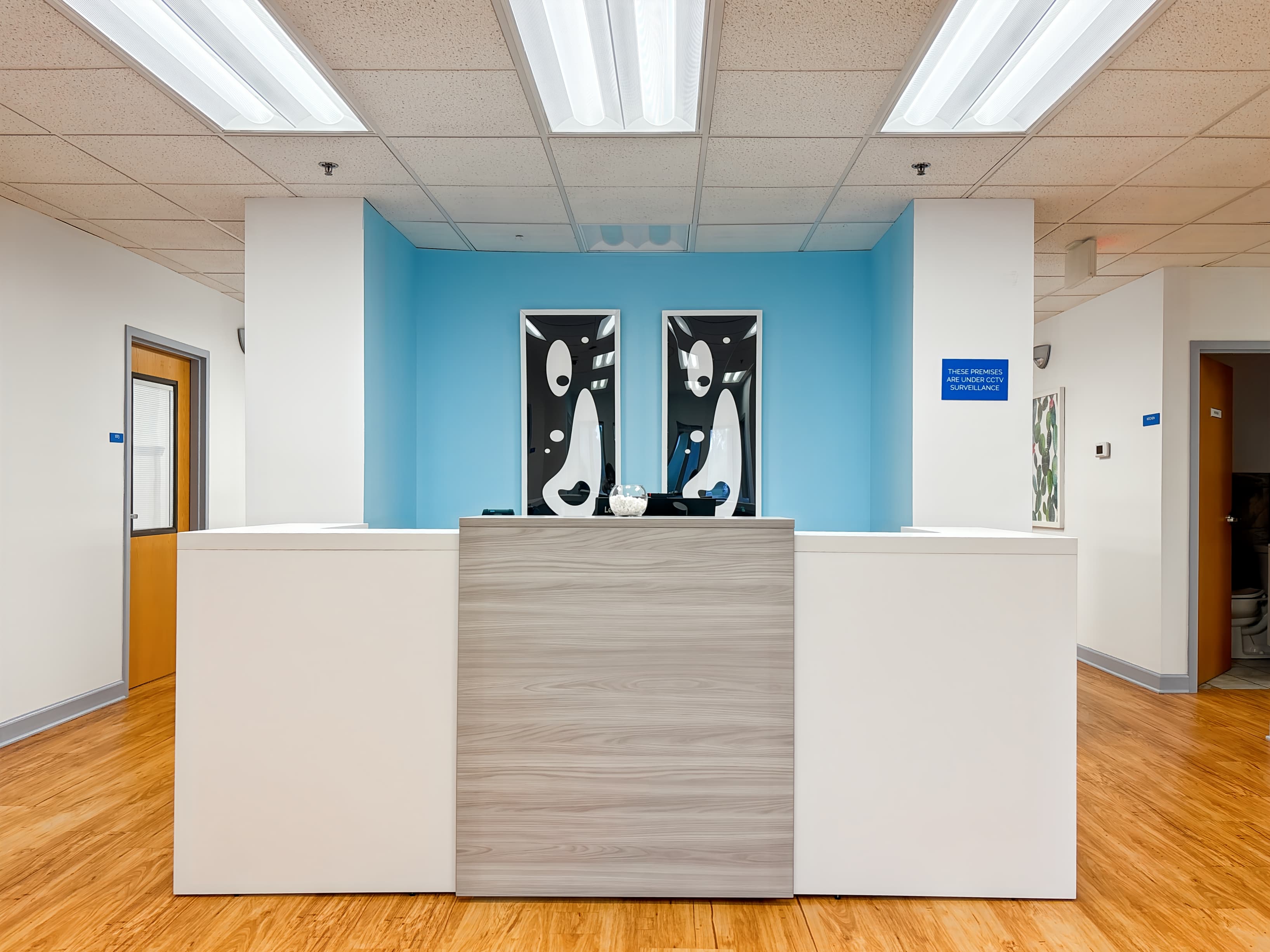 IL, Winfield - County Farm Rd image 13