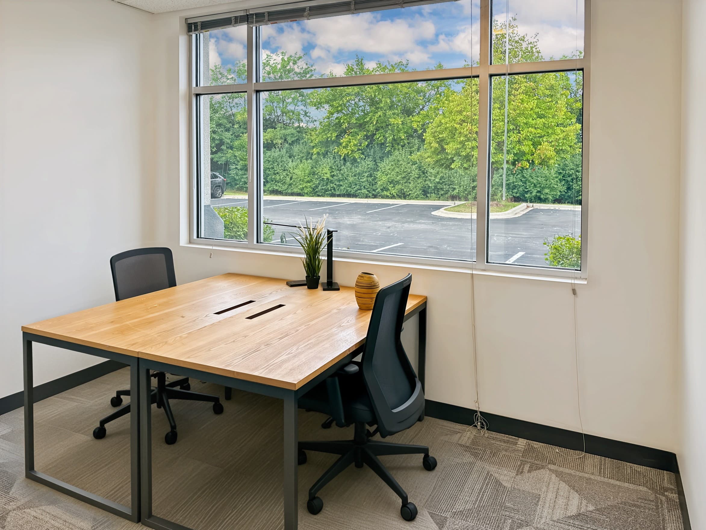 IL, Buffalo Grove - Busch Parkway image 8