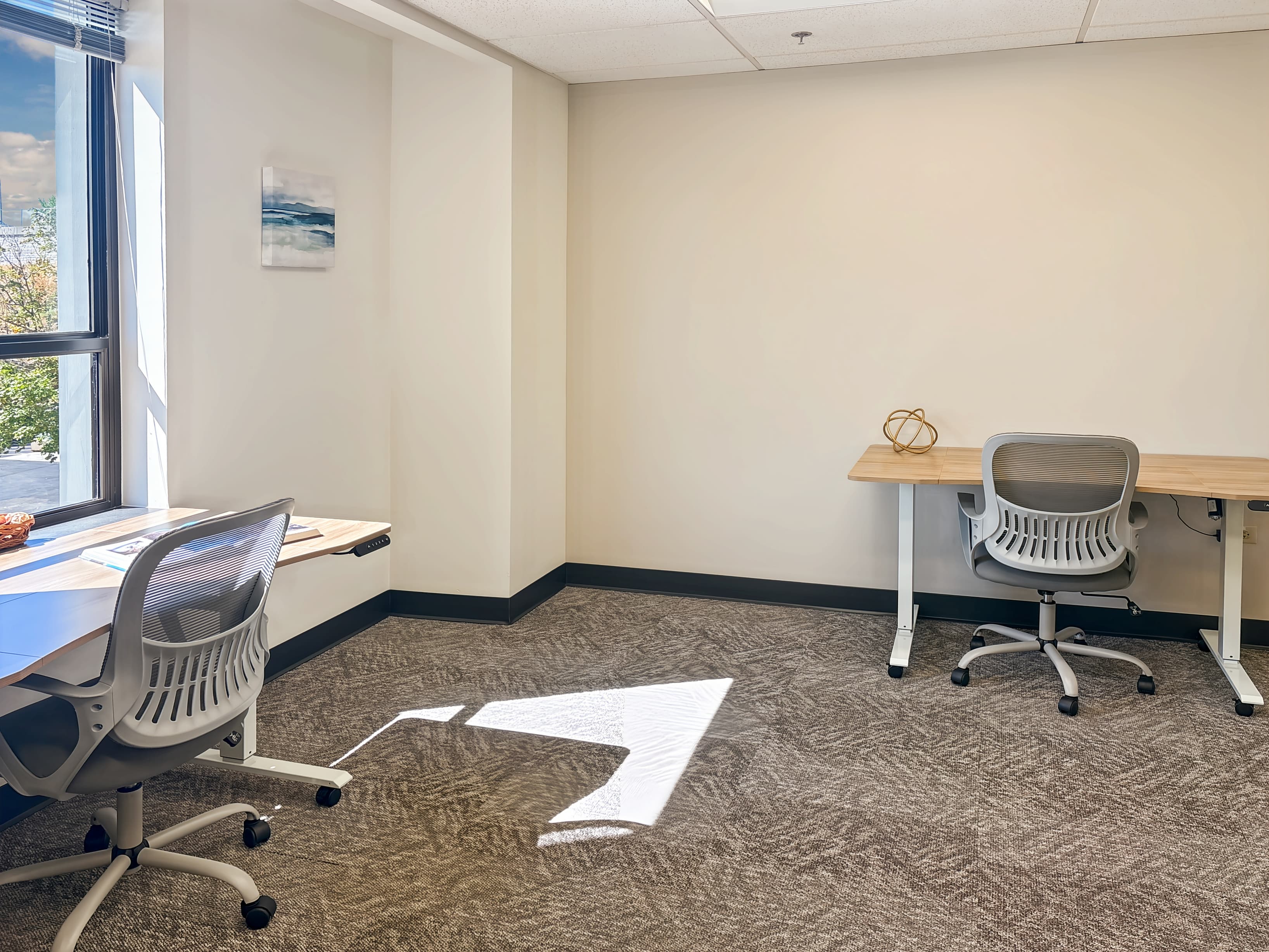 CO, Lakewood - Wadsworth Blvd image 8