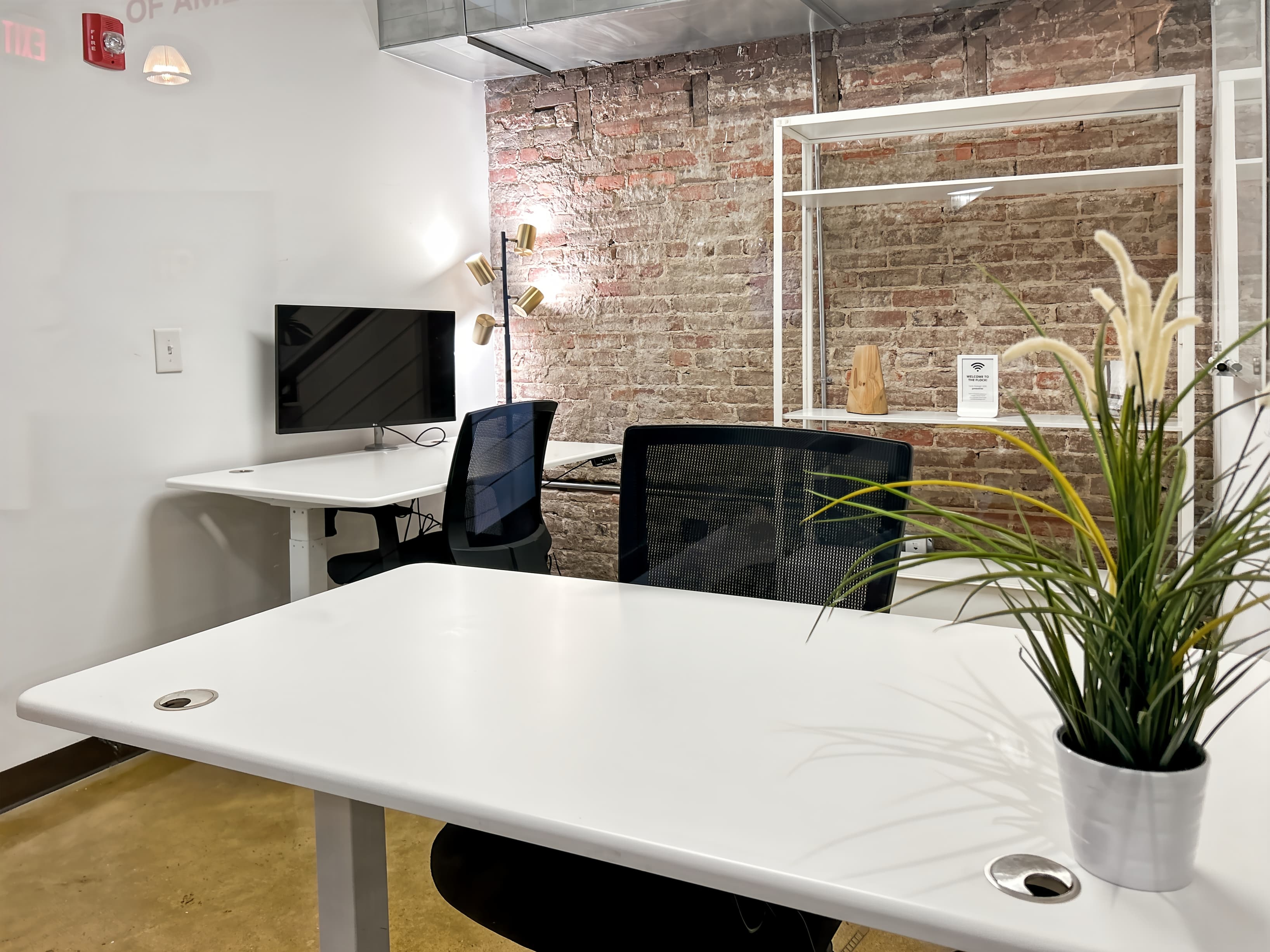 NC, Raleigh - Fayetteville St image 7