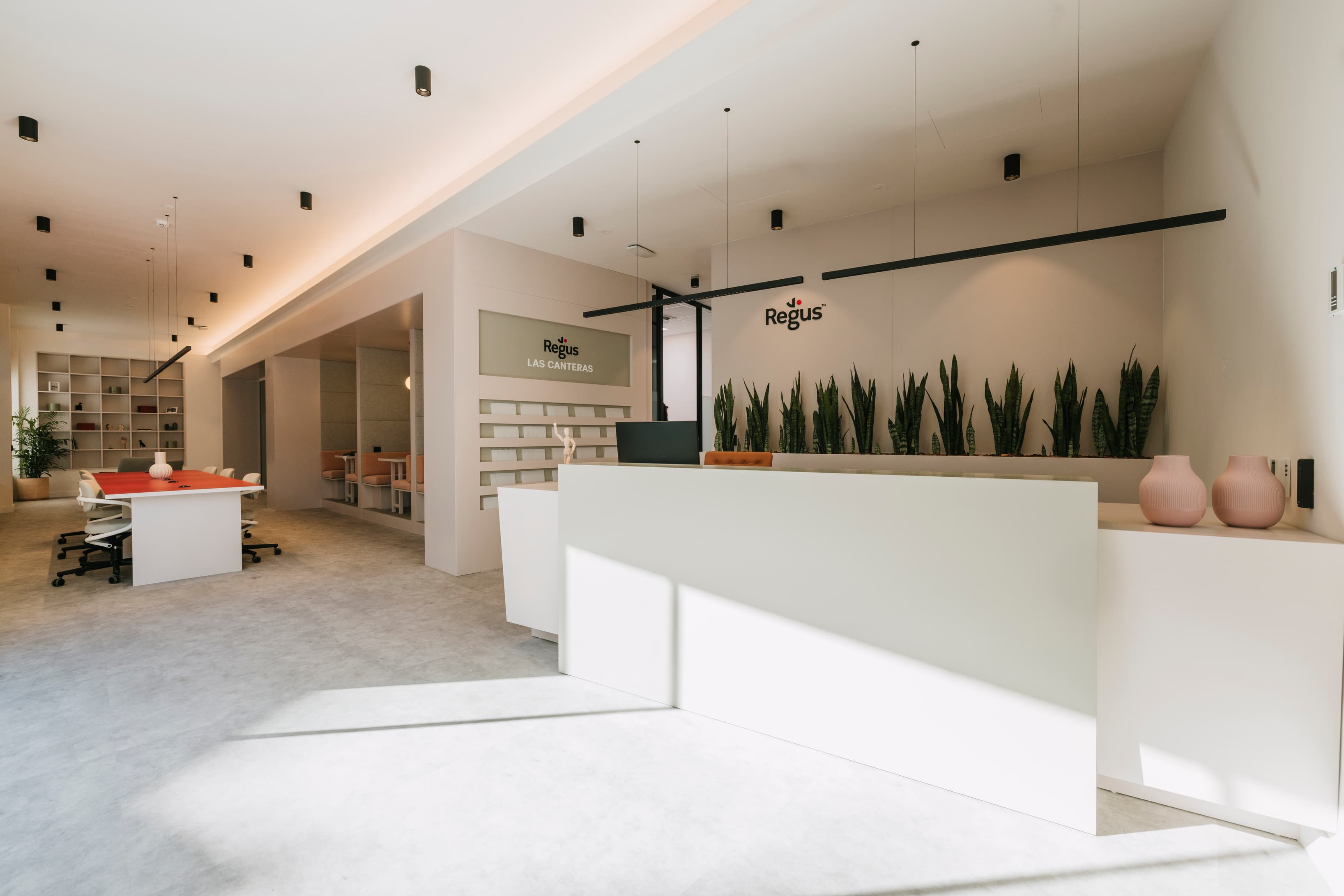 Las Canteras image 11