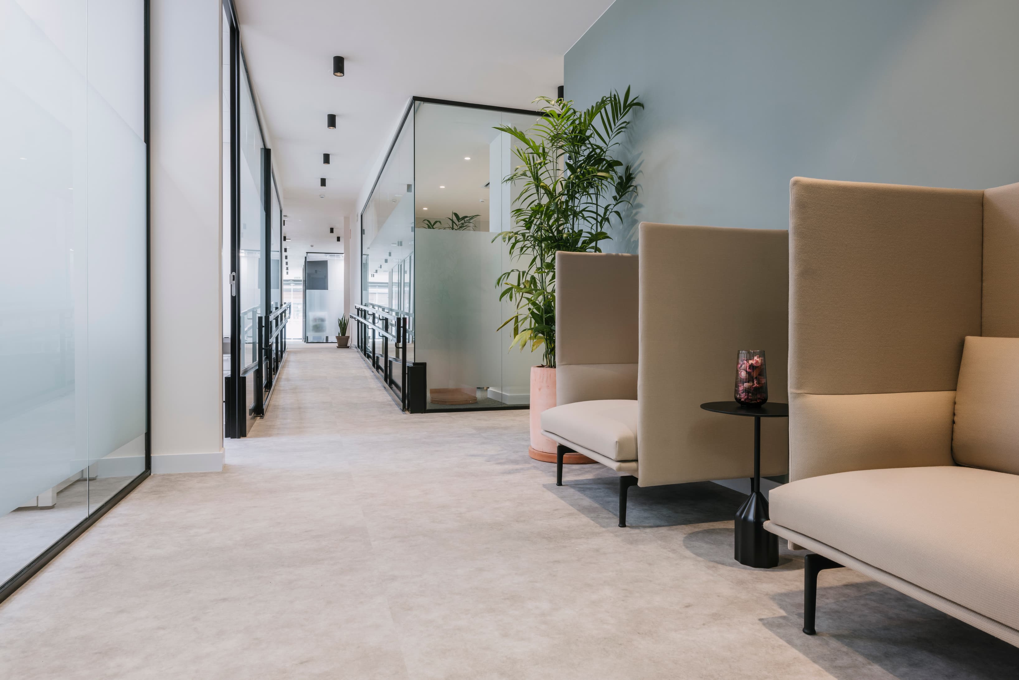 Las Canteras image 3