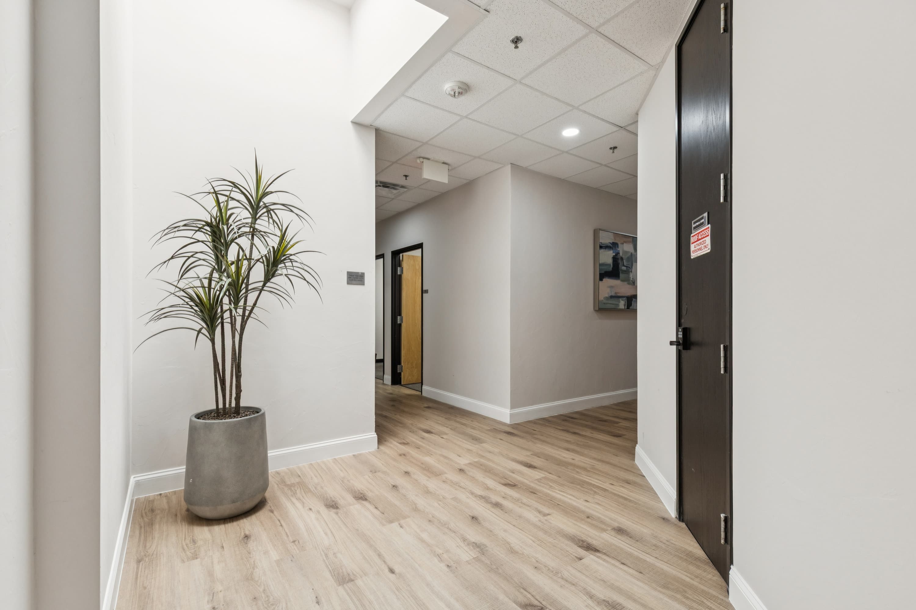 TX, Irving - Belt Line Rd image 12