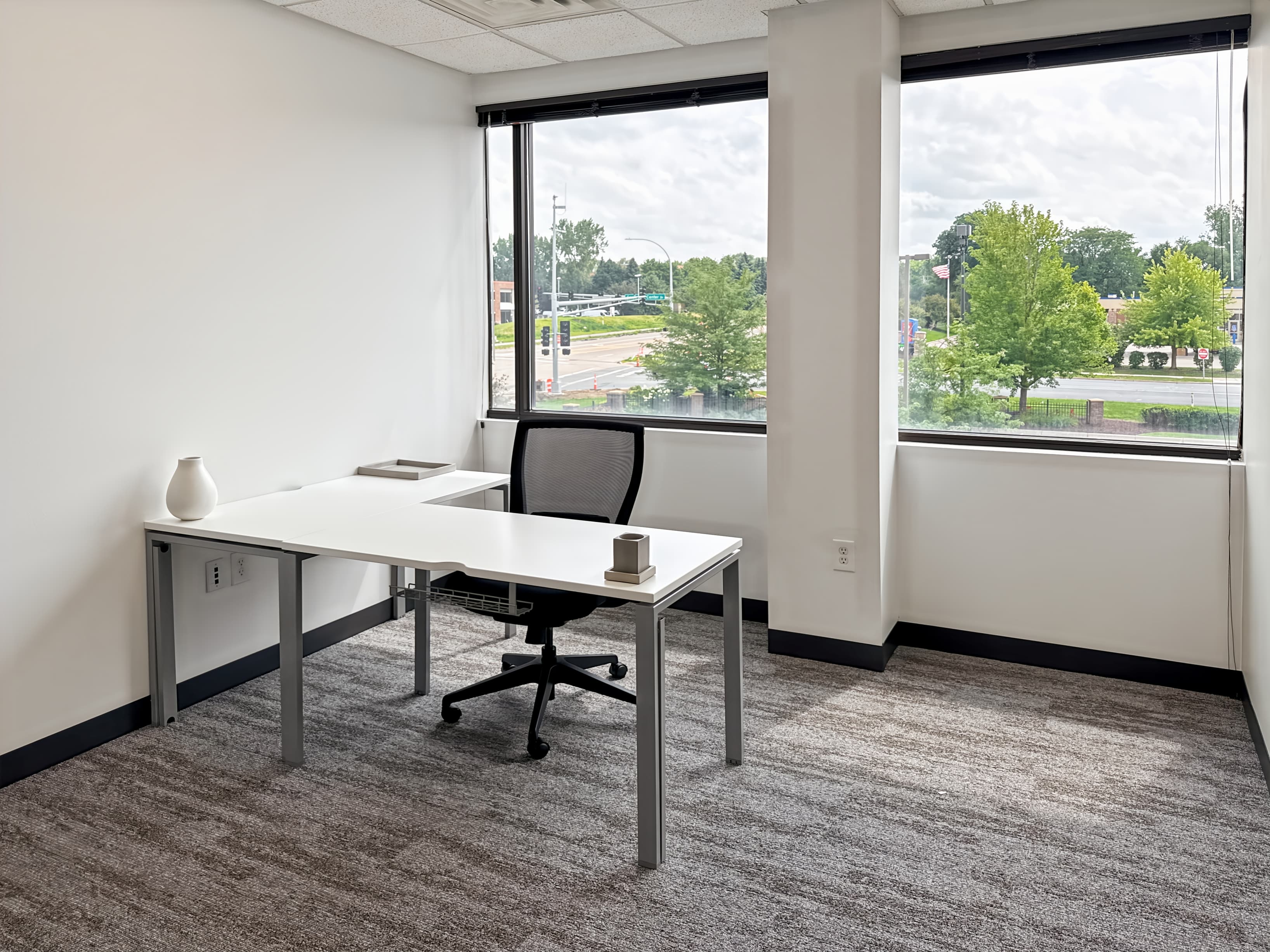 MN, Eagan - Eagan Wood Dr image 4