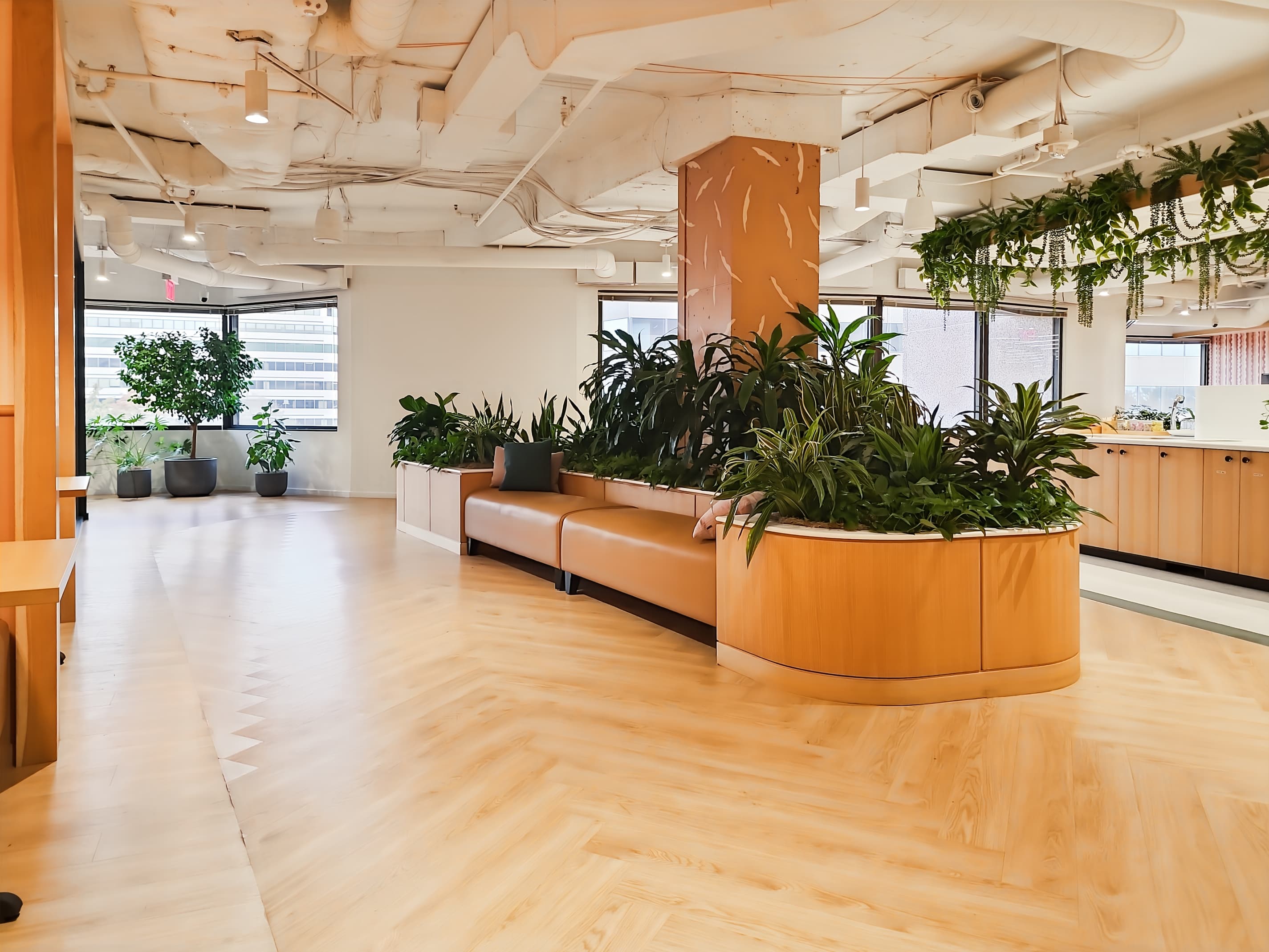 VA, Arlington- 2451 Crystal Drive image 13 VA, Arlington- 2451 Crystal Drive image 13