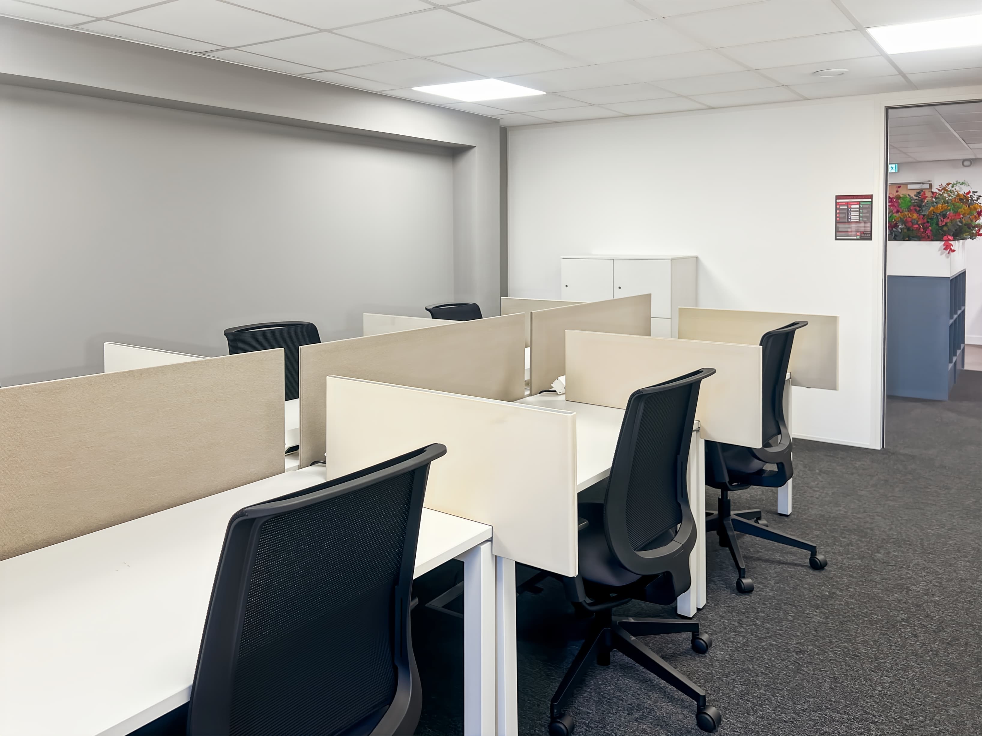 Metz, Lafayette image 9 Metz, Lafayette image 9