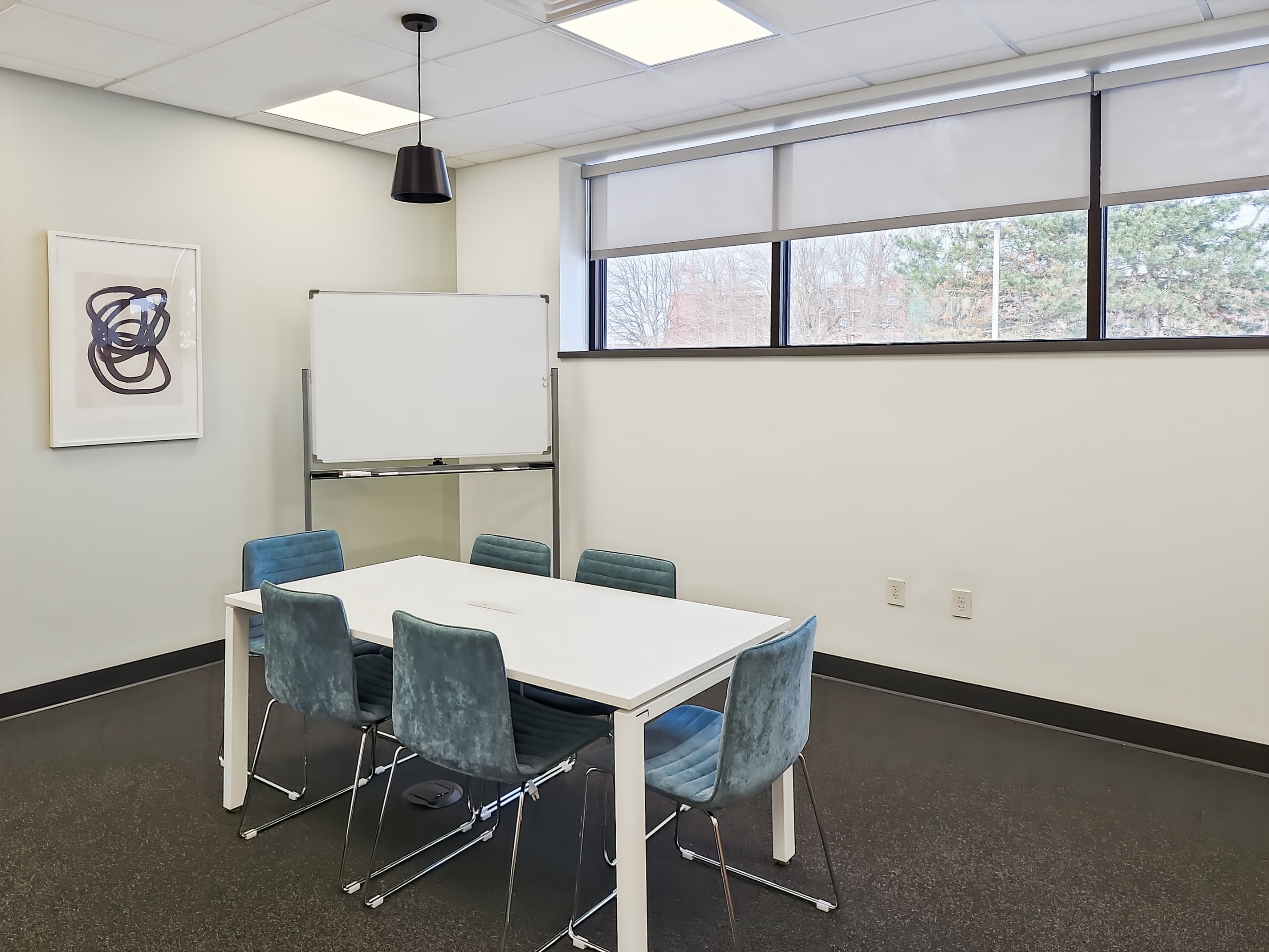 NY, Amherst - 251 John James Audubon image 3 NY, Amherst - 251 John James Audubon image 3