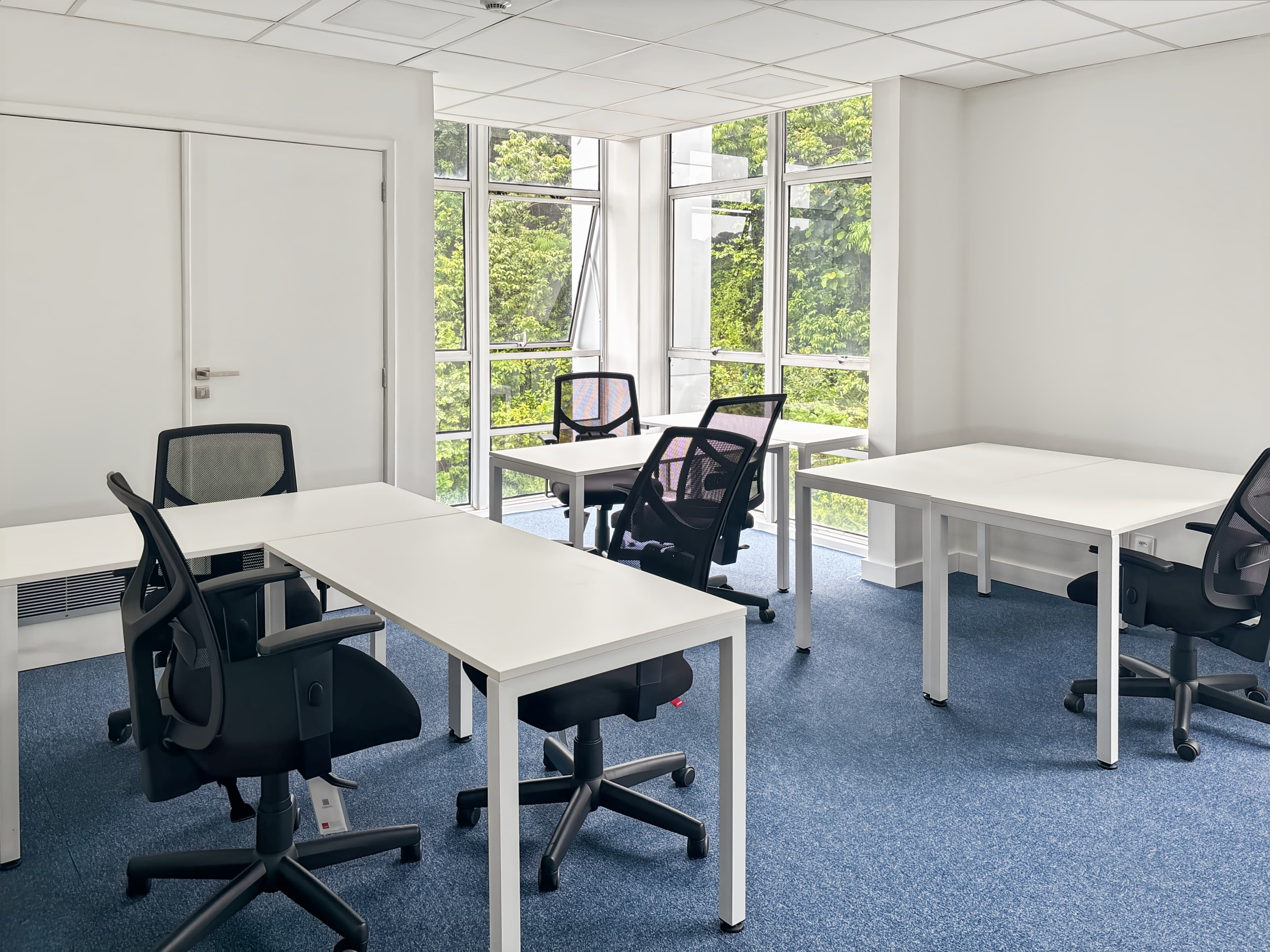 Salvador, Tropical Center image 4