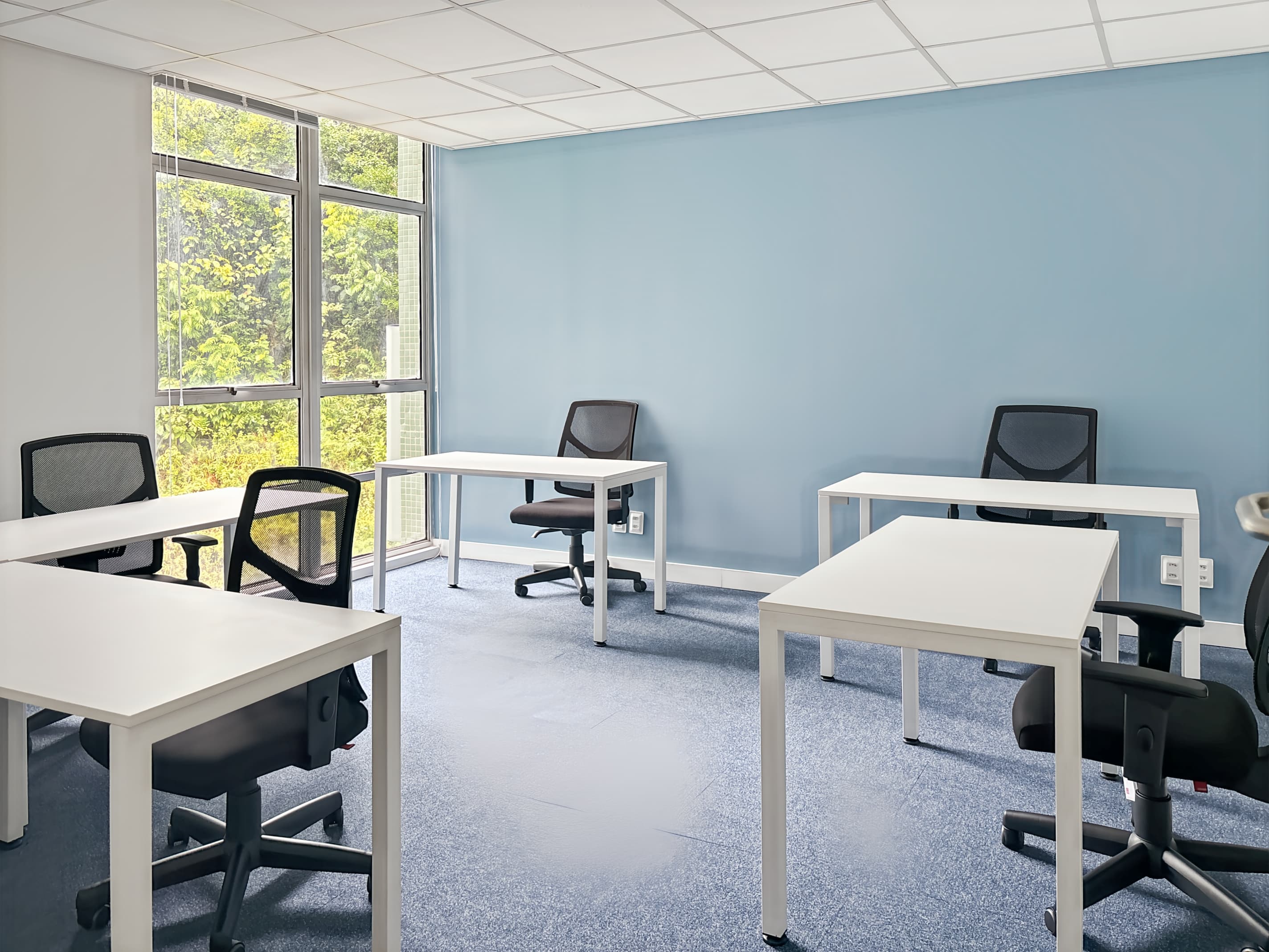 Salvador, Tropical Center image 7