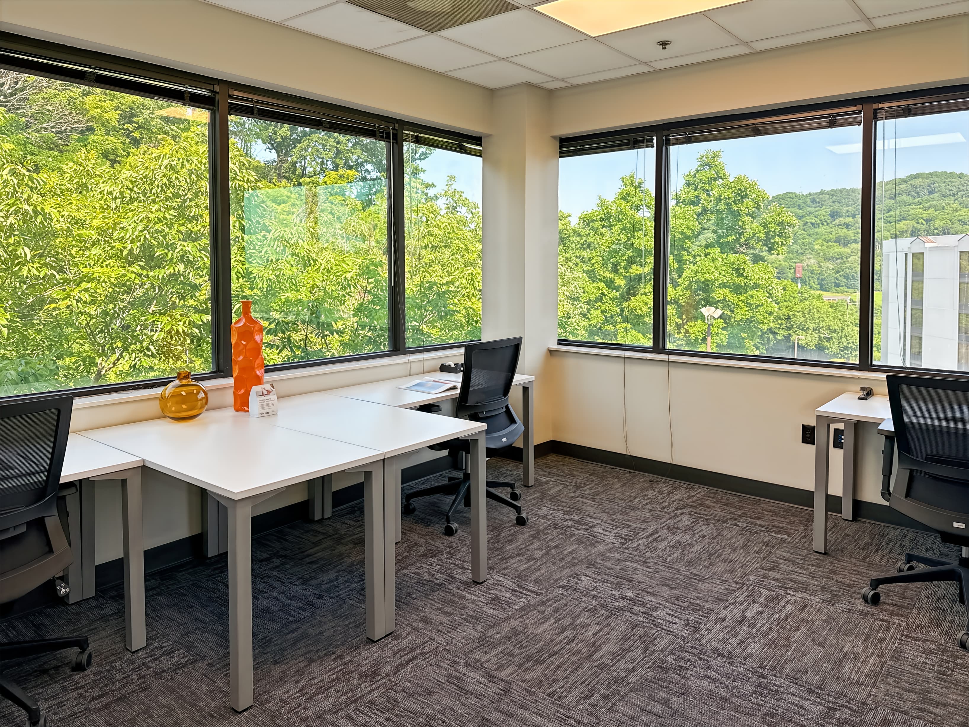 TN, Brentwood - Summit View Drive image 5 TN, Brentwood - Summit View Drive image 5