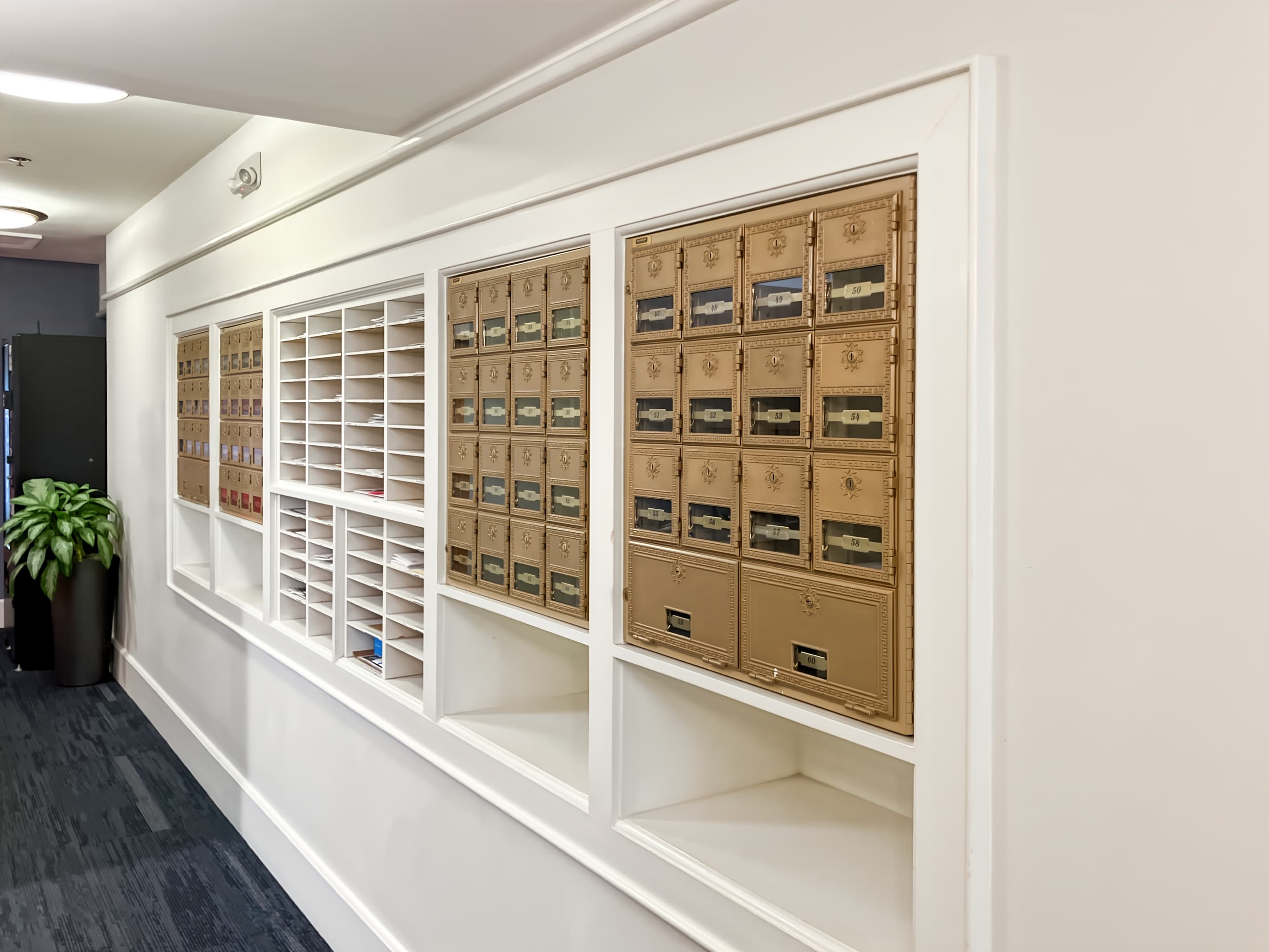 CO, Boulder - Pearl St. image 8