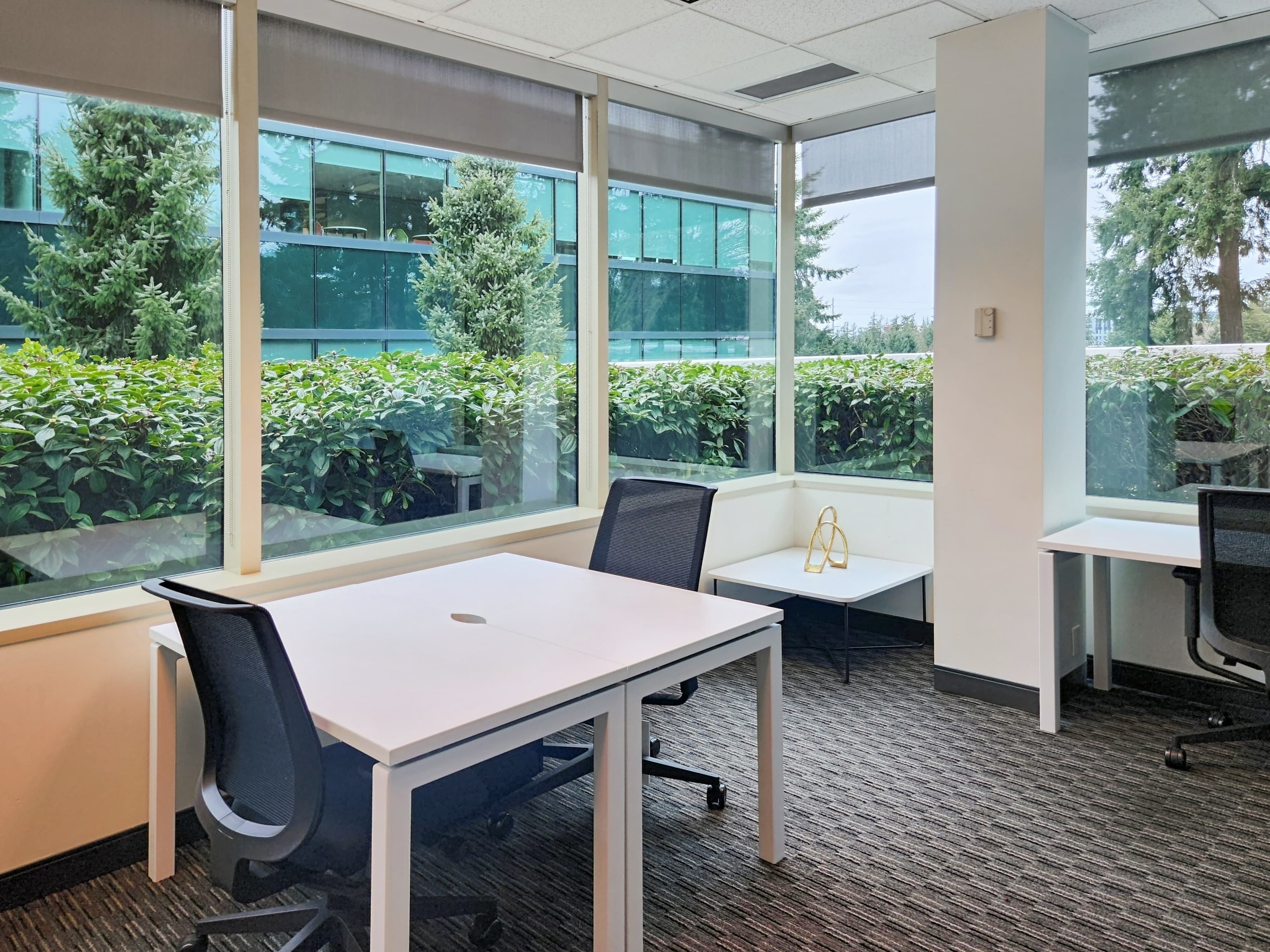 WA, Bellevue - Redmond Center image 3