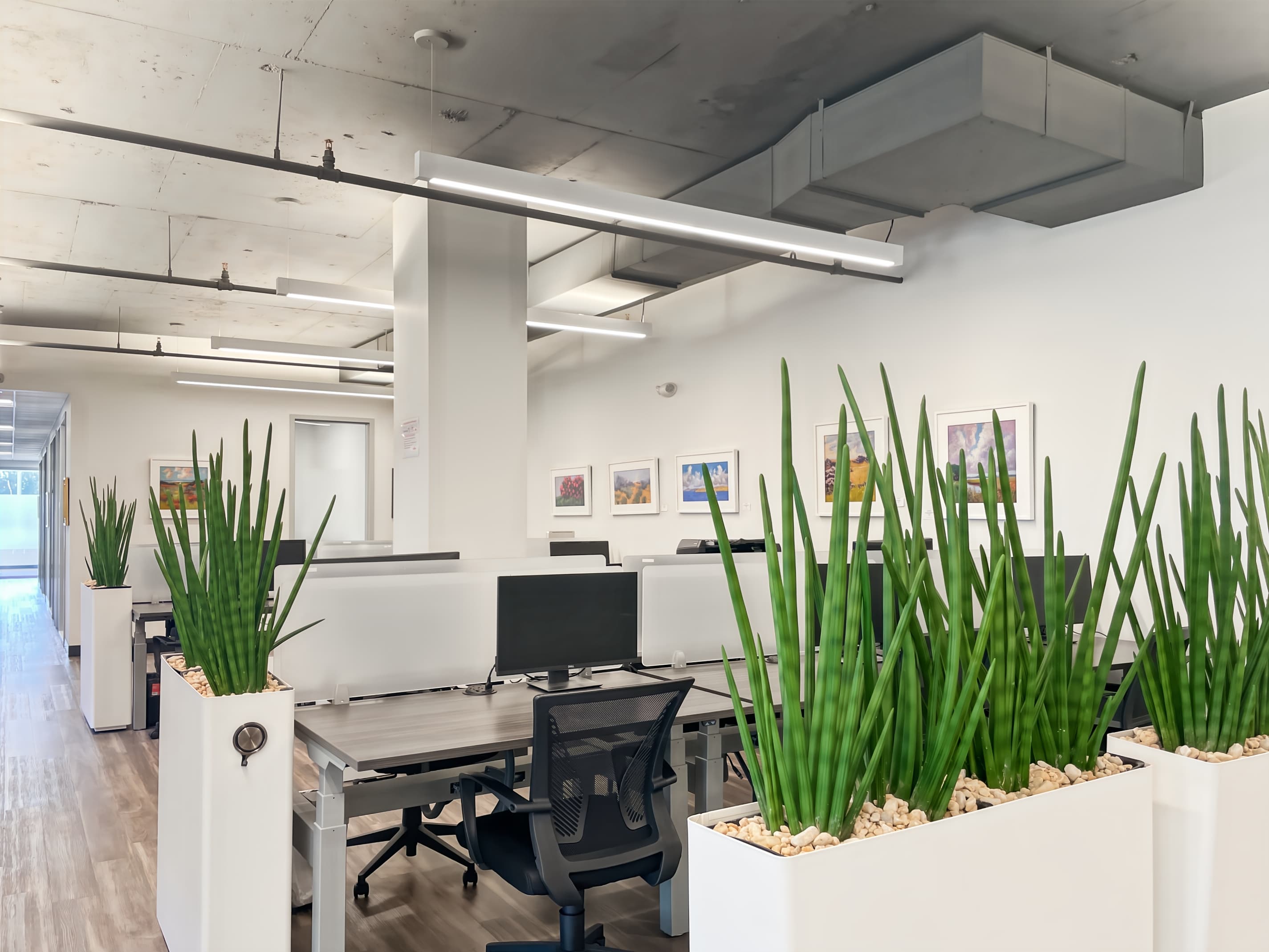 MD, Bethesda - Sangamore Rd image 1 MD, Bethesda - Sangamore Rd image 1