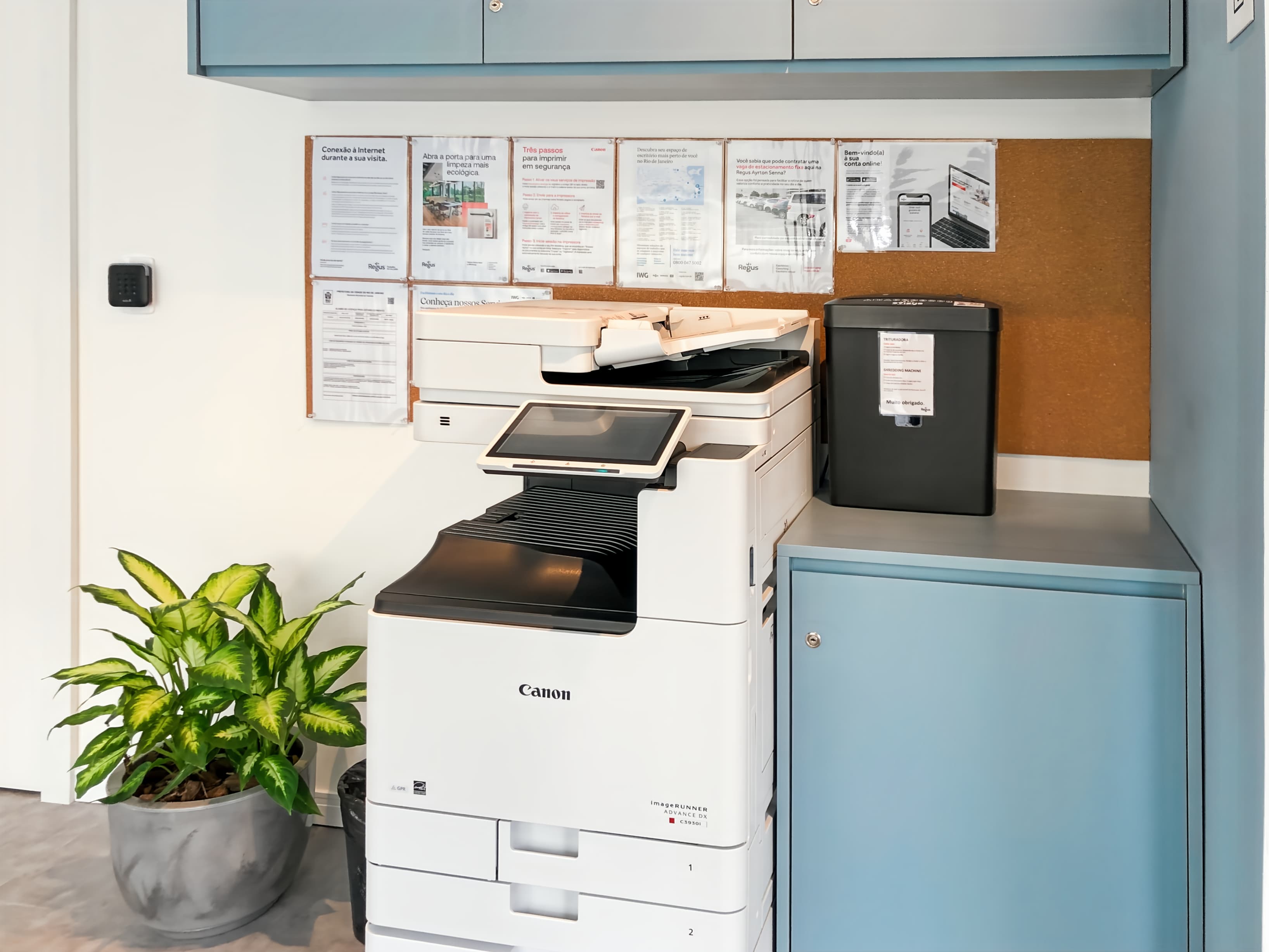 Rio de Janeiro, Ayrton Senna image 4