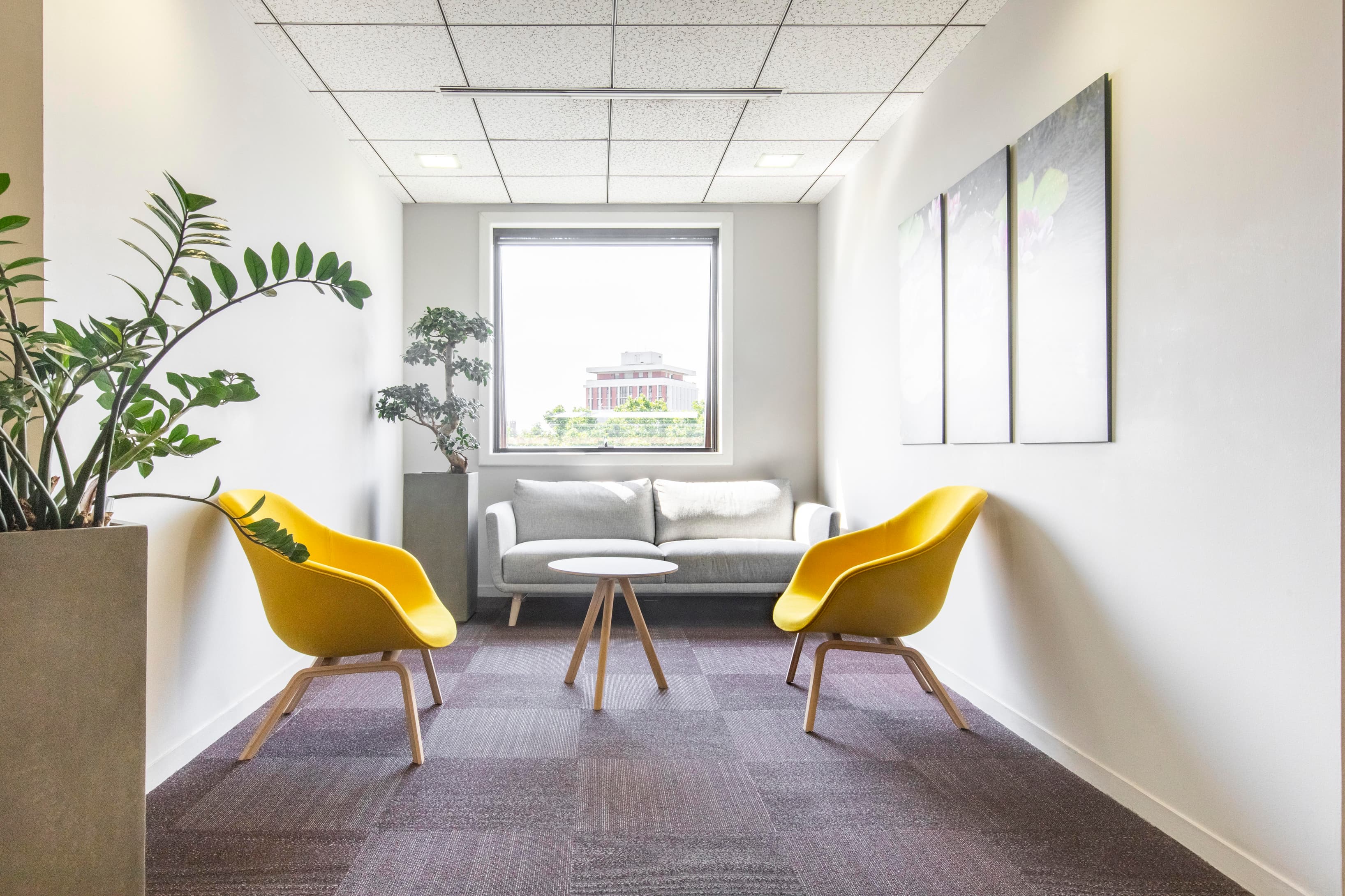 TOULOUSE, Compans image 8