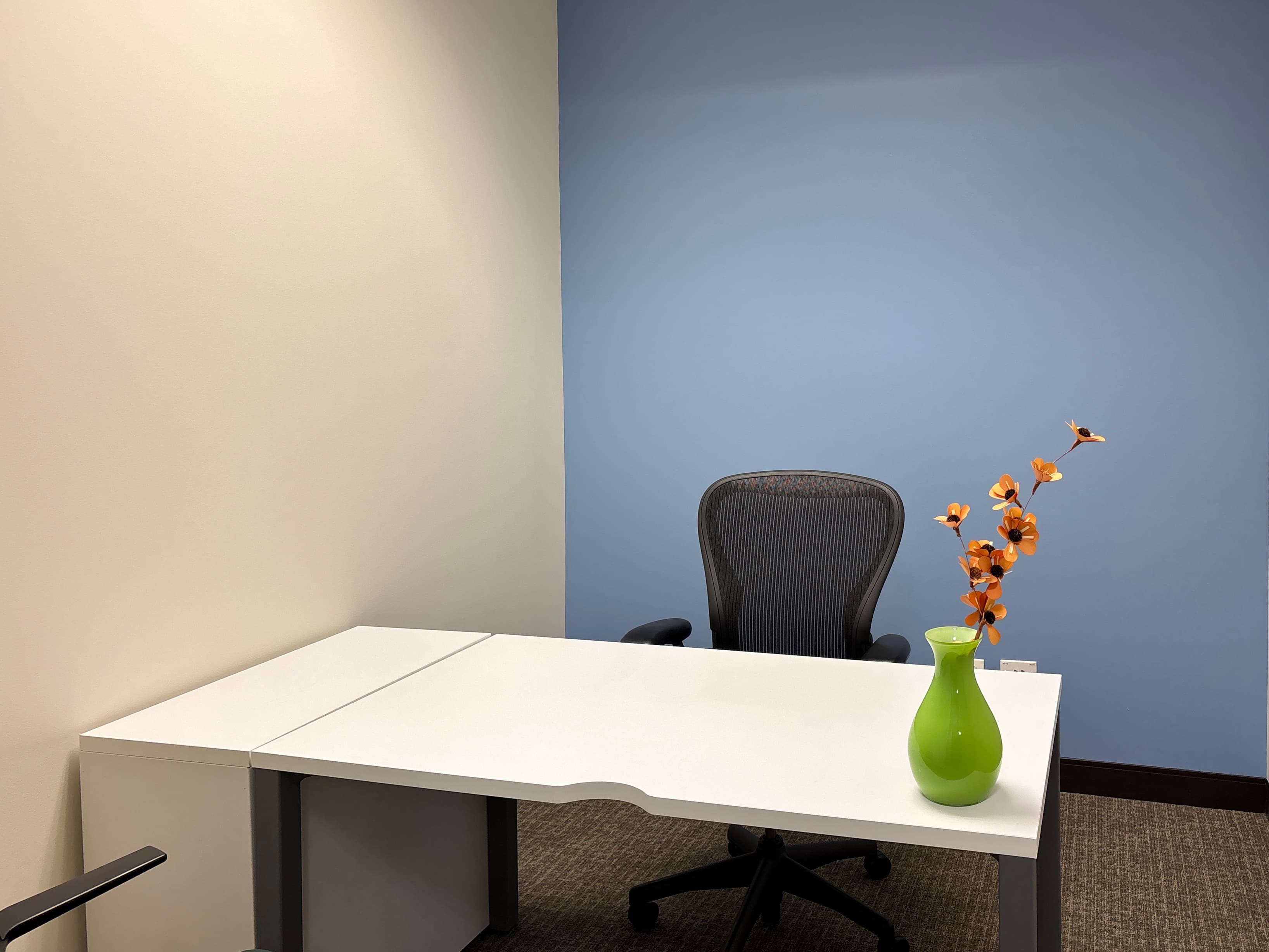 IL, Park Ridge - Park Ridge Plaza image 13