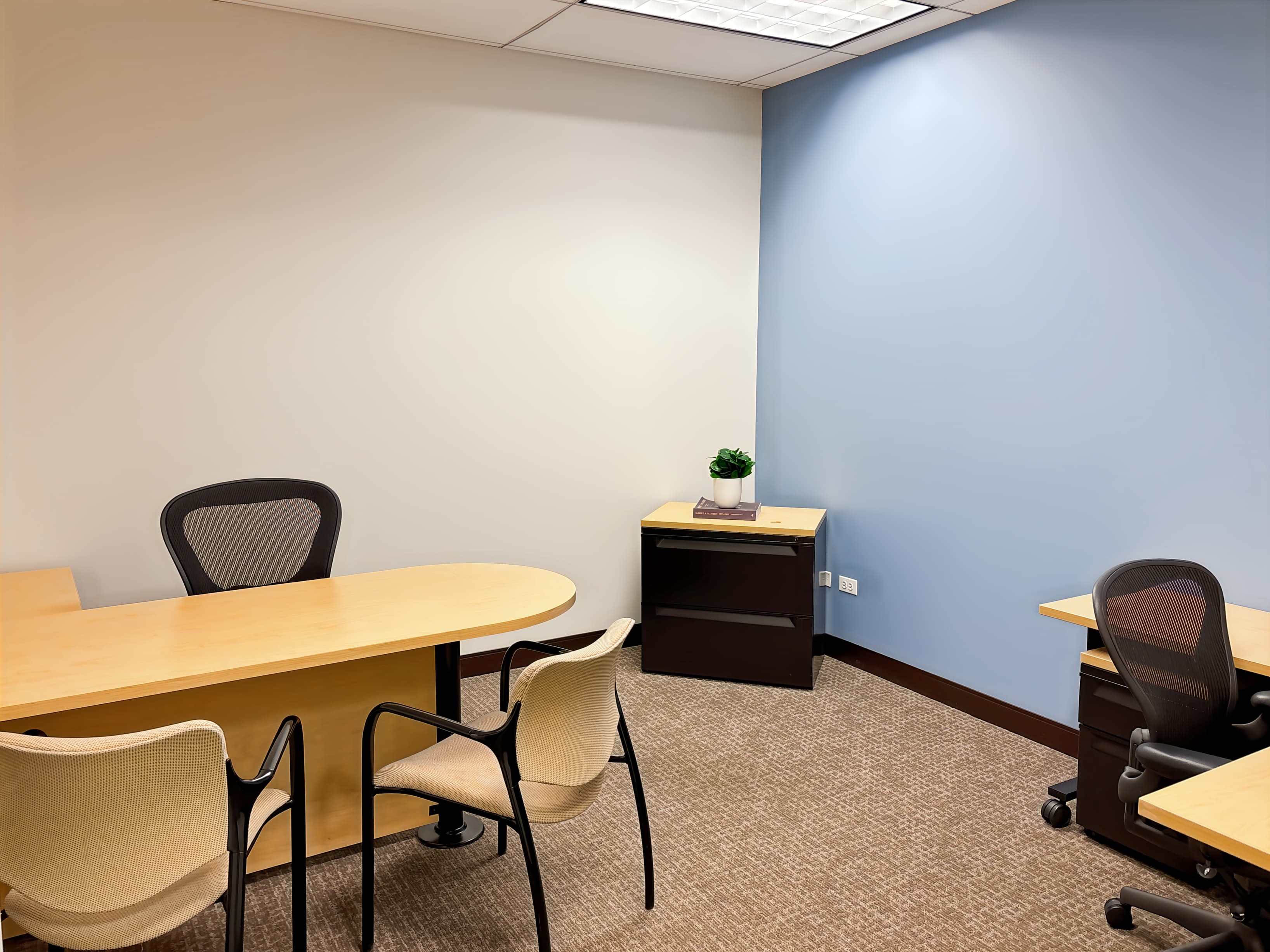 IL, Park Ridge - Park Ridge Plaza image 5