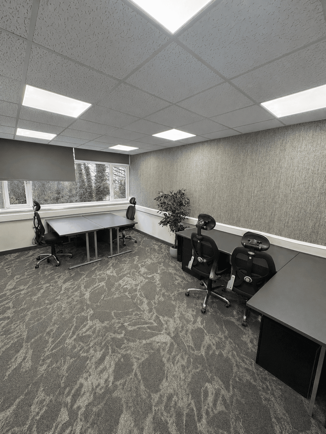 Office 