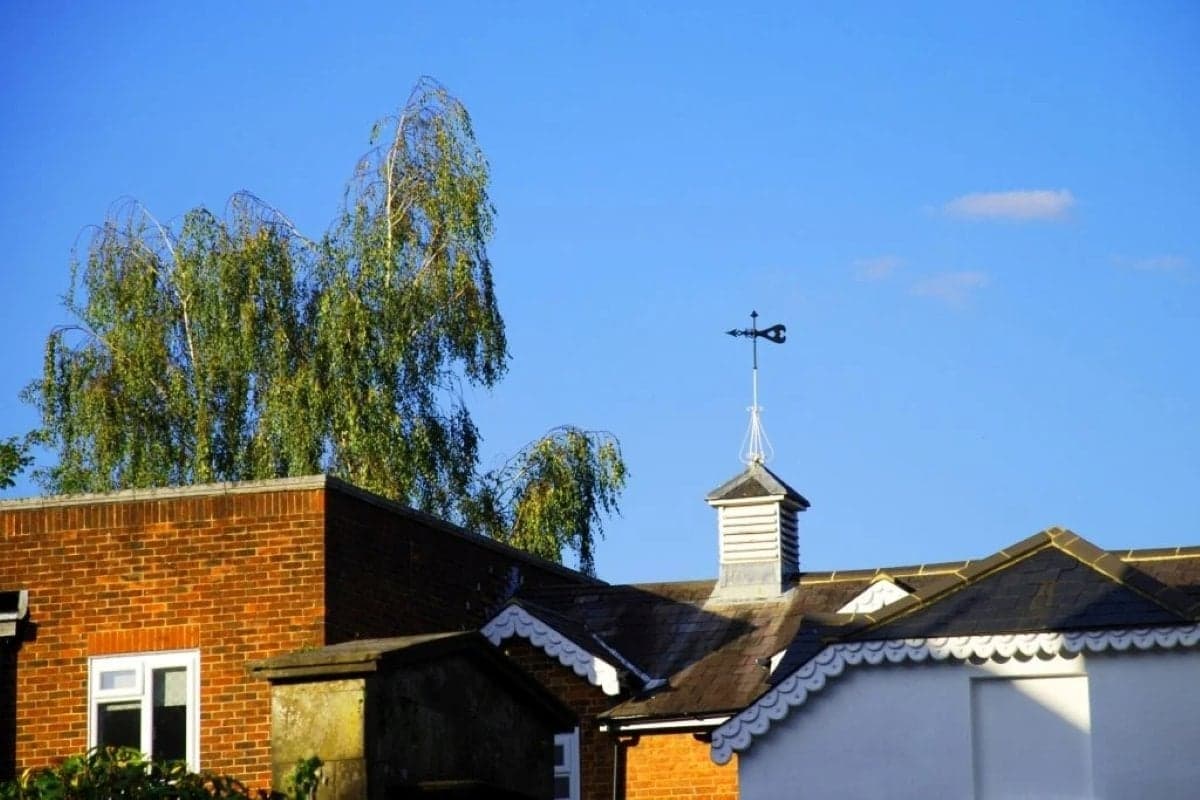 External Building External Building