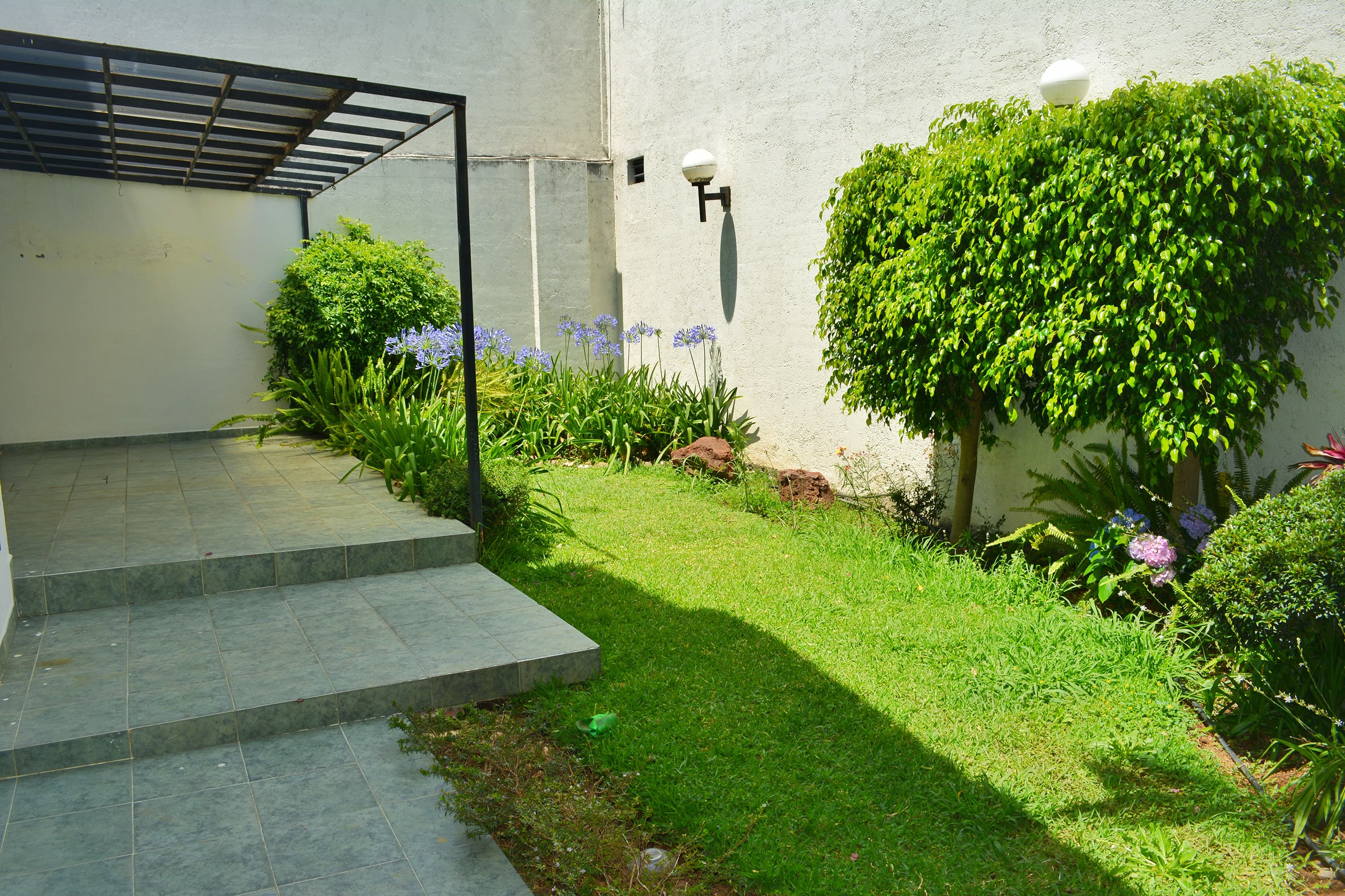jardin
