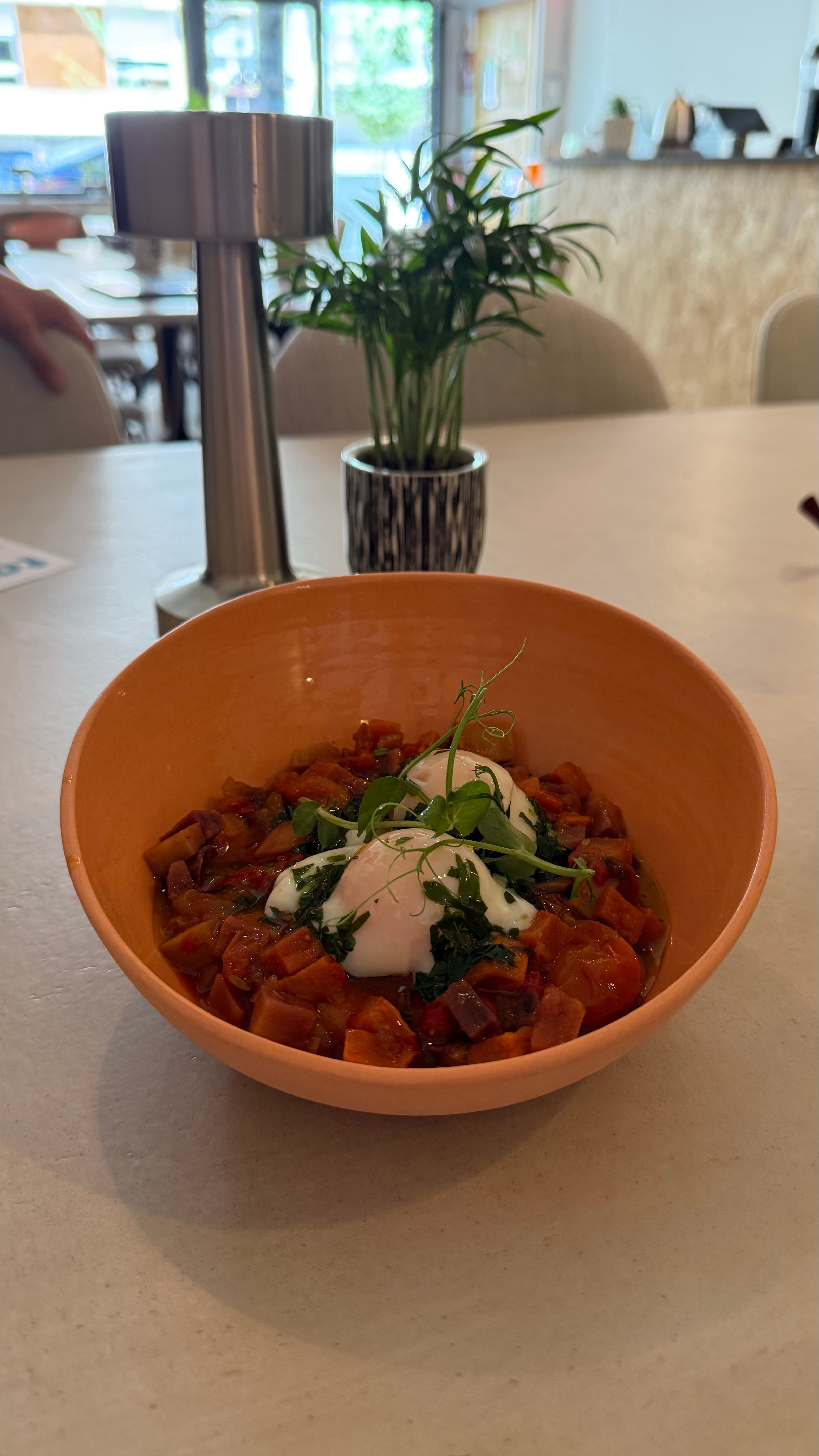 Food options including gluten and dairy free