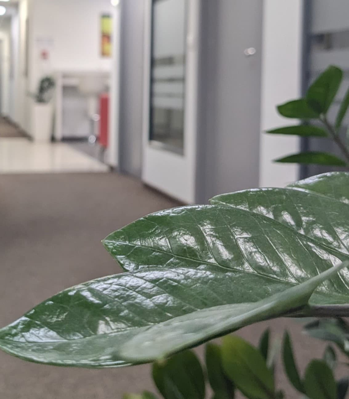 Third floor Third floor