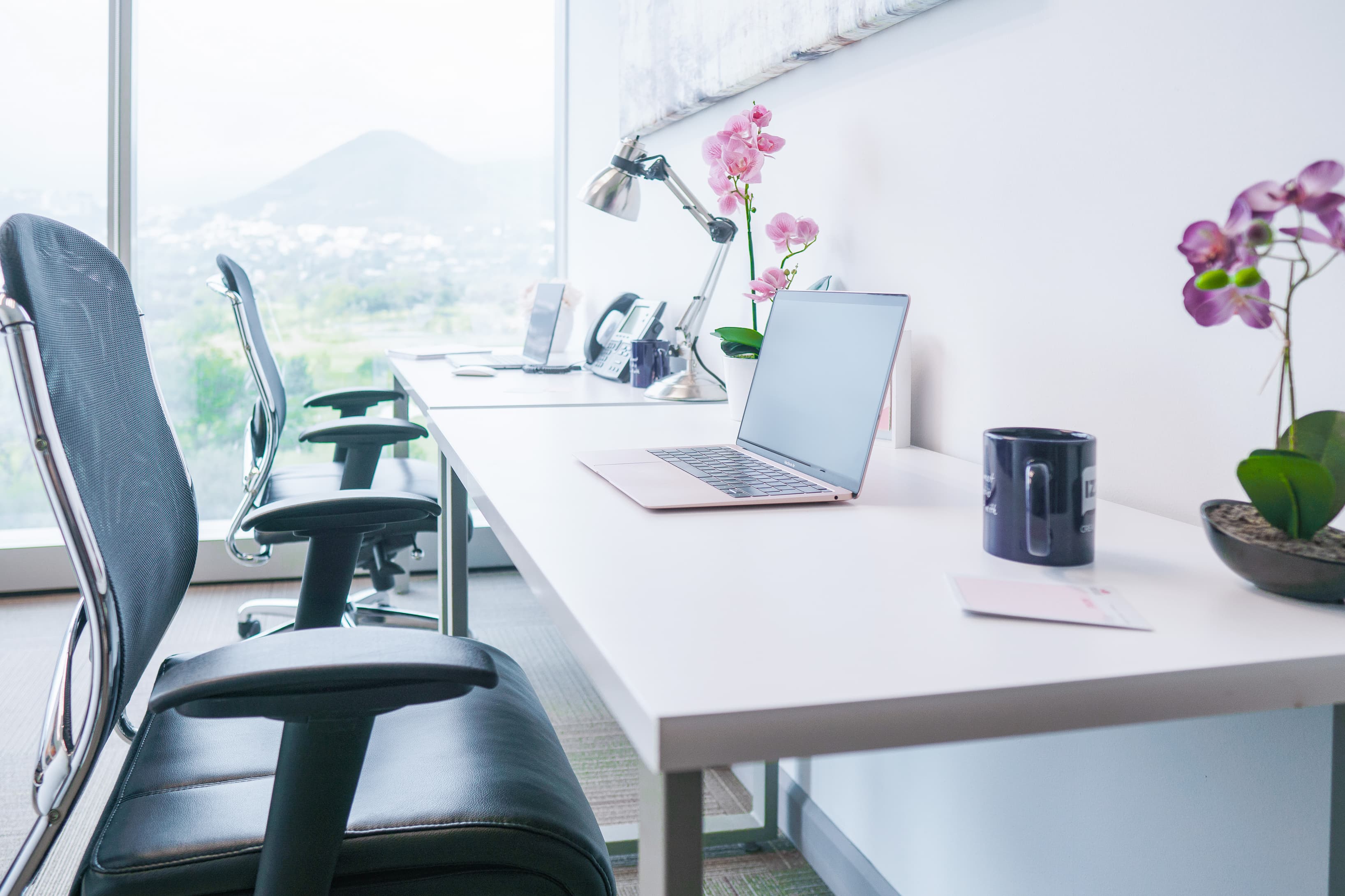Offices that adapt to the needs of your company.