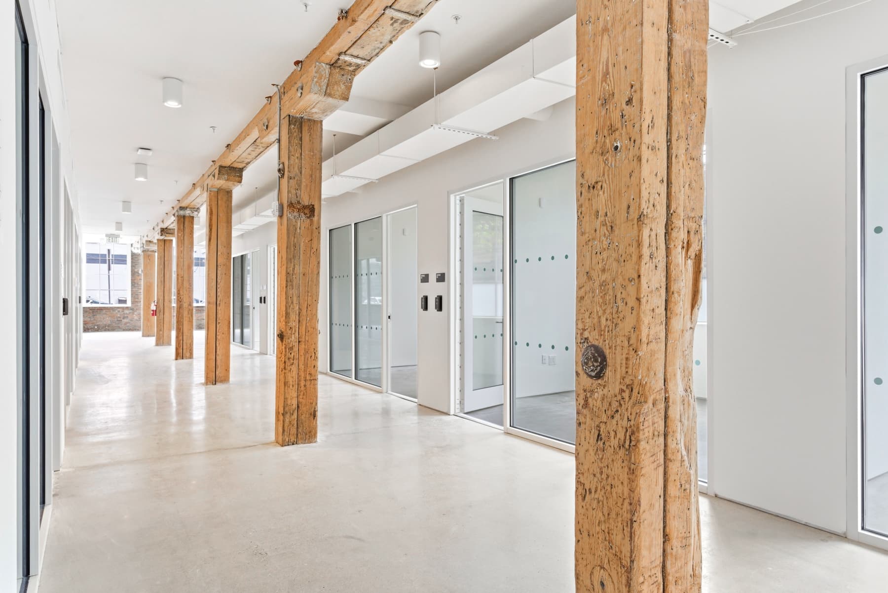 A full floor of private offices with glass fronts. A full floor of private offices with glass fronts.