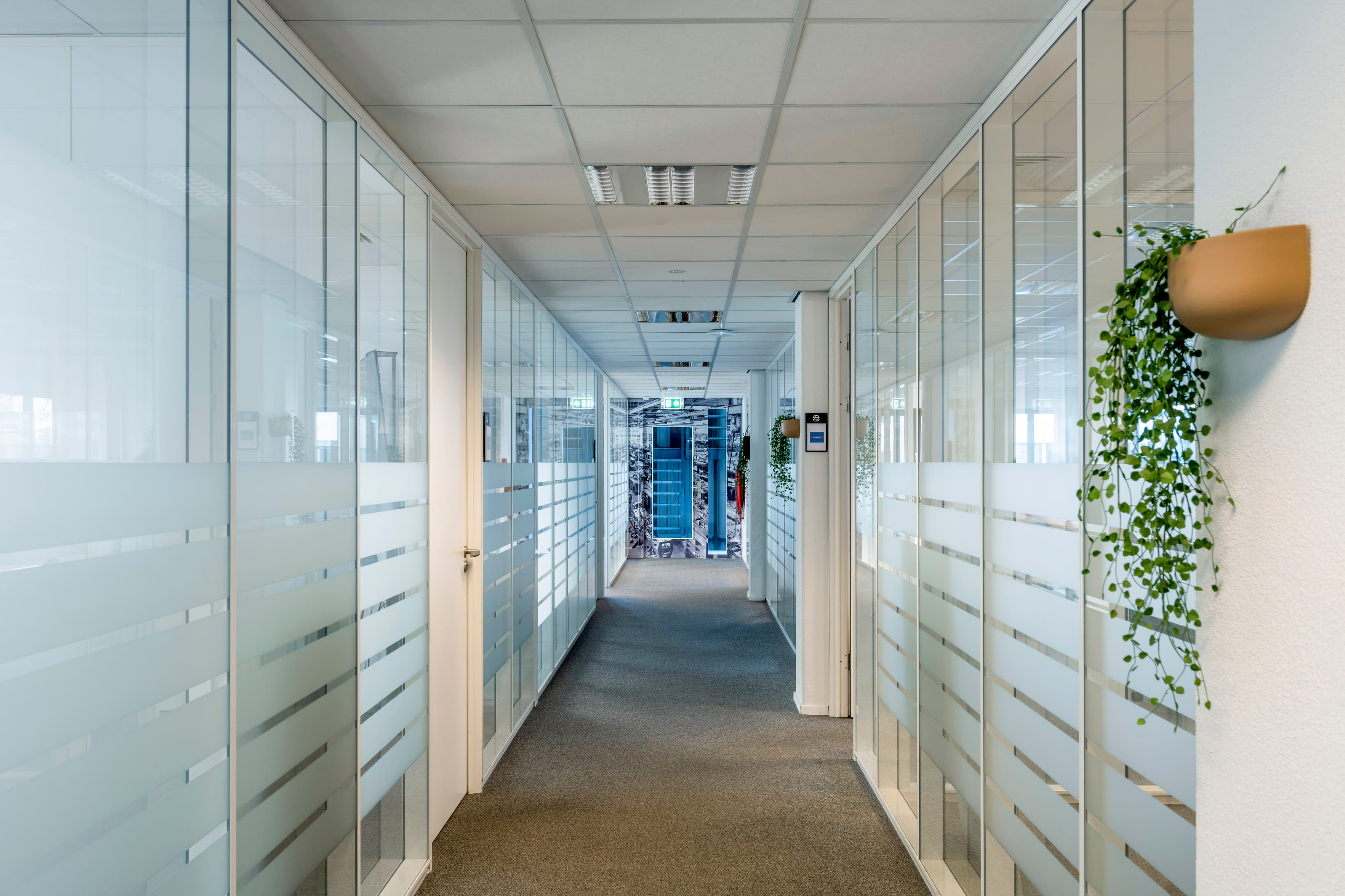 Bright office corridor with glass-partitioned workspaces and a clean, professional finish