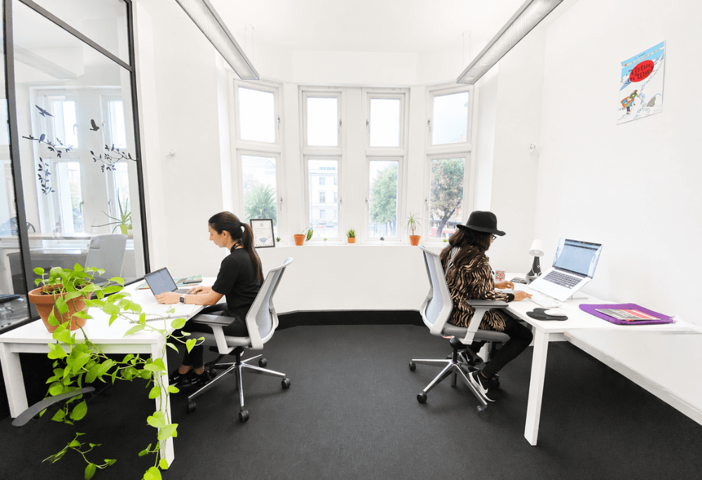 Medium Office