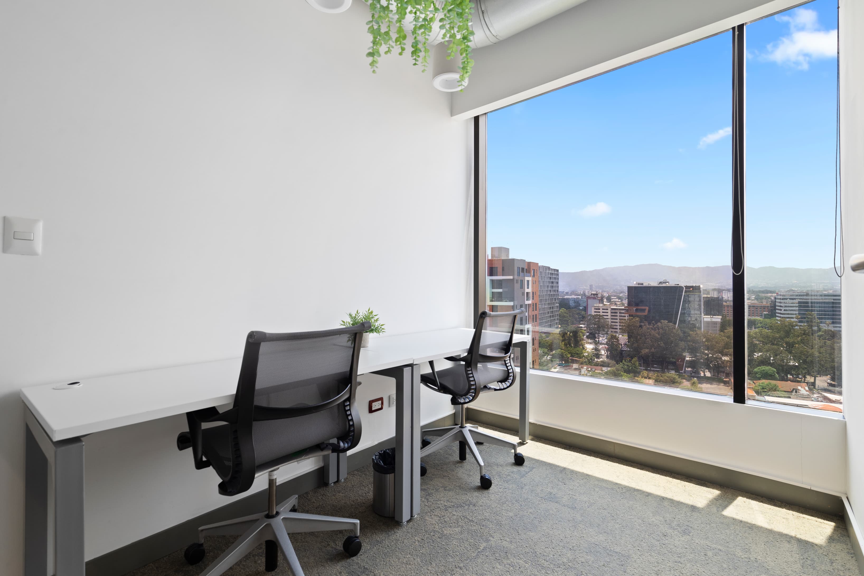 Private Office for up to 2 people