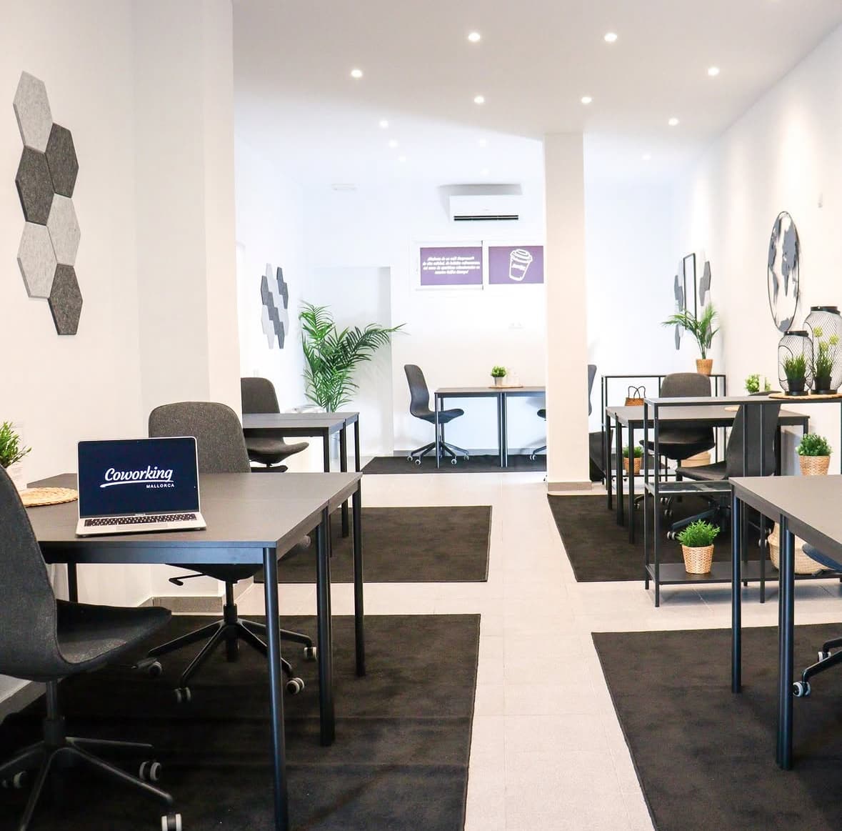Bright coworking space with modern desks and a calm atmosphere