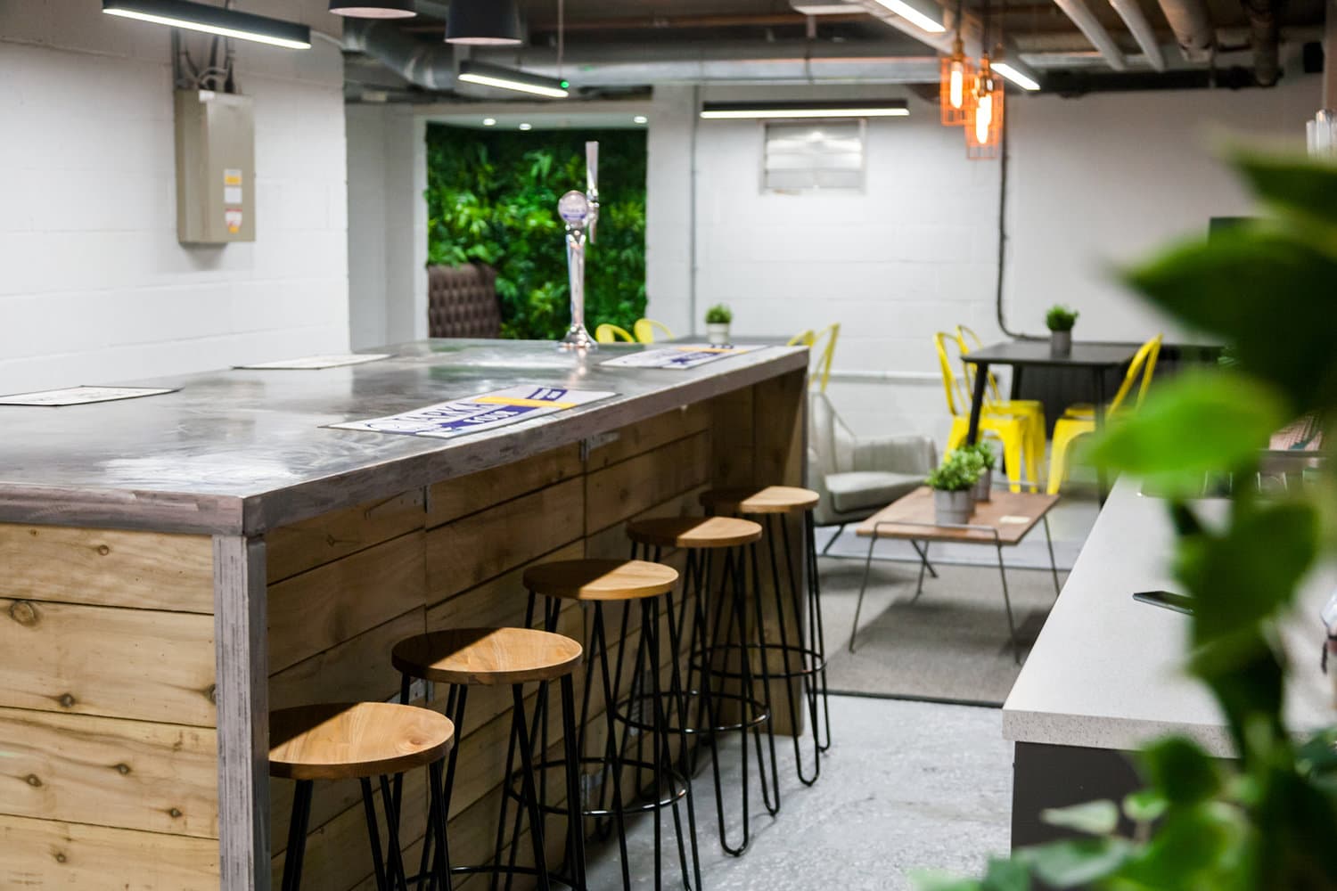 The Rabbit Hole The Rabbit Hole