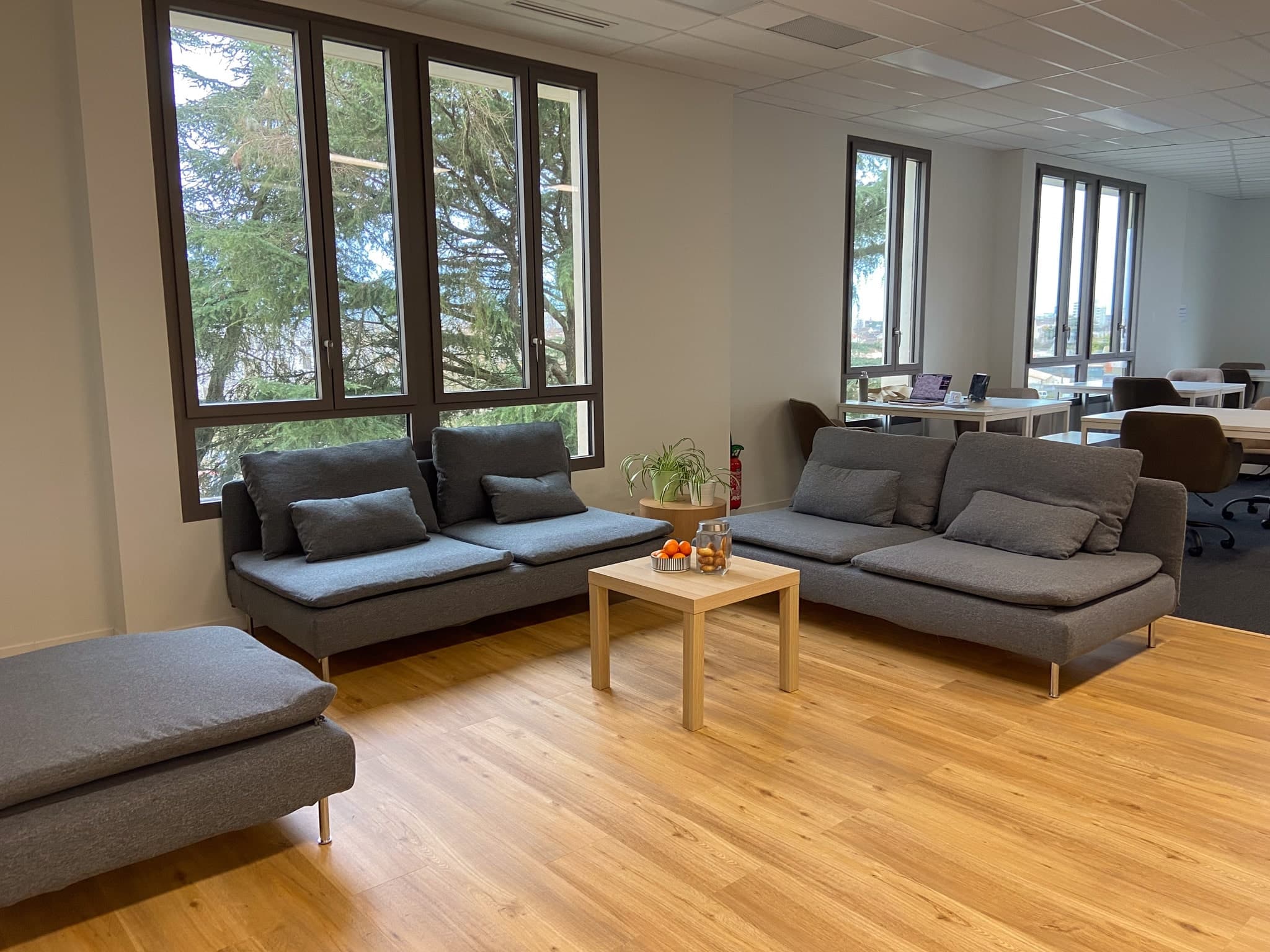 Espace détente chez Doya avec canapés, pouf et vue apaisante sur l'arbre, idéal pour une pause café près de la cafétéria. Espace détente chez Doya avec canapés, pouf et vue apaisante sur l'arbre, idéal pour une pause café près de la cafétéria.