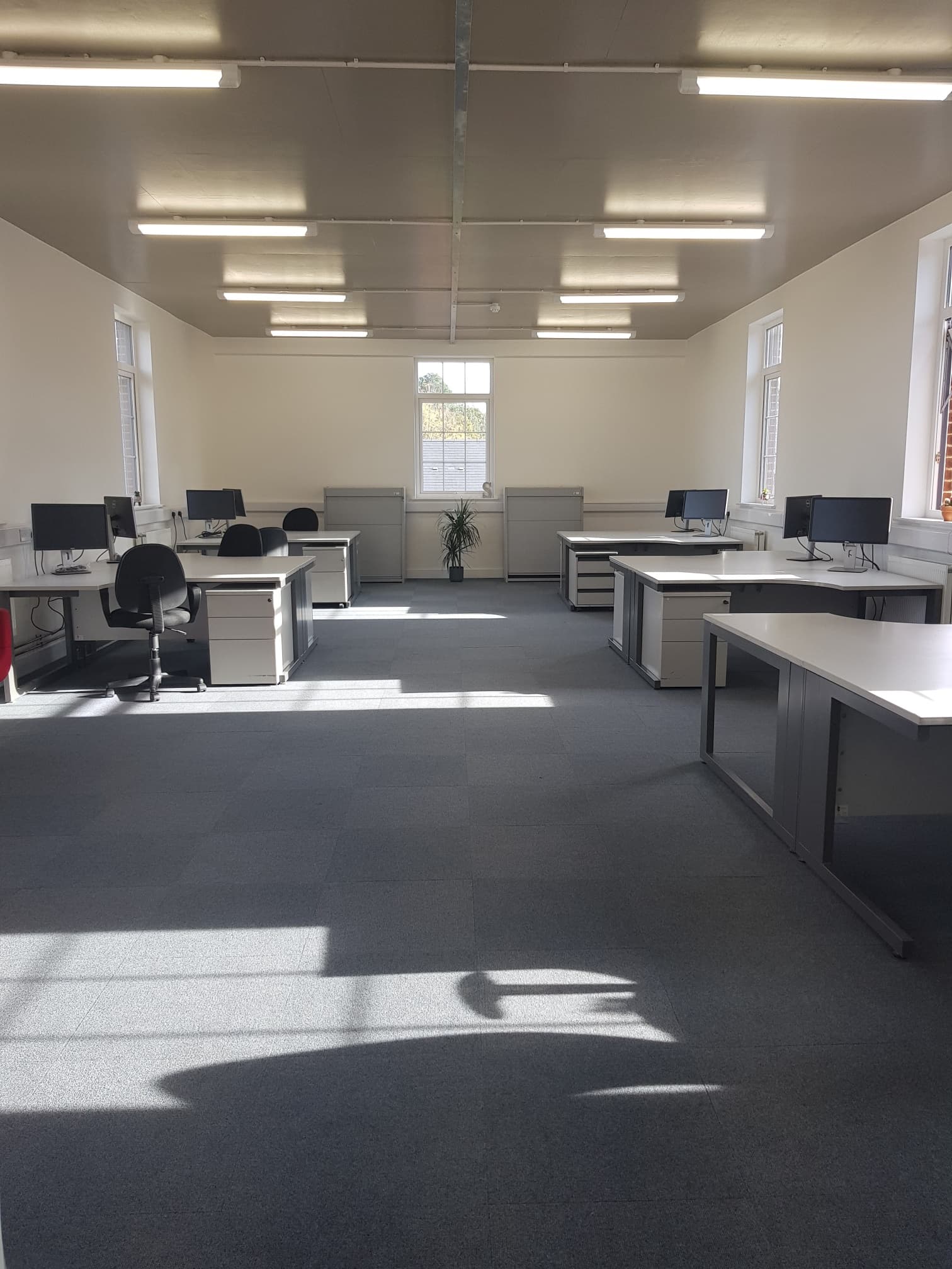 Potential Office Layout