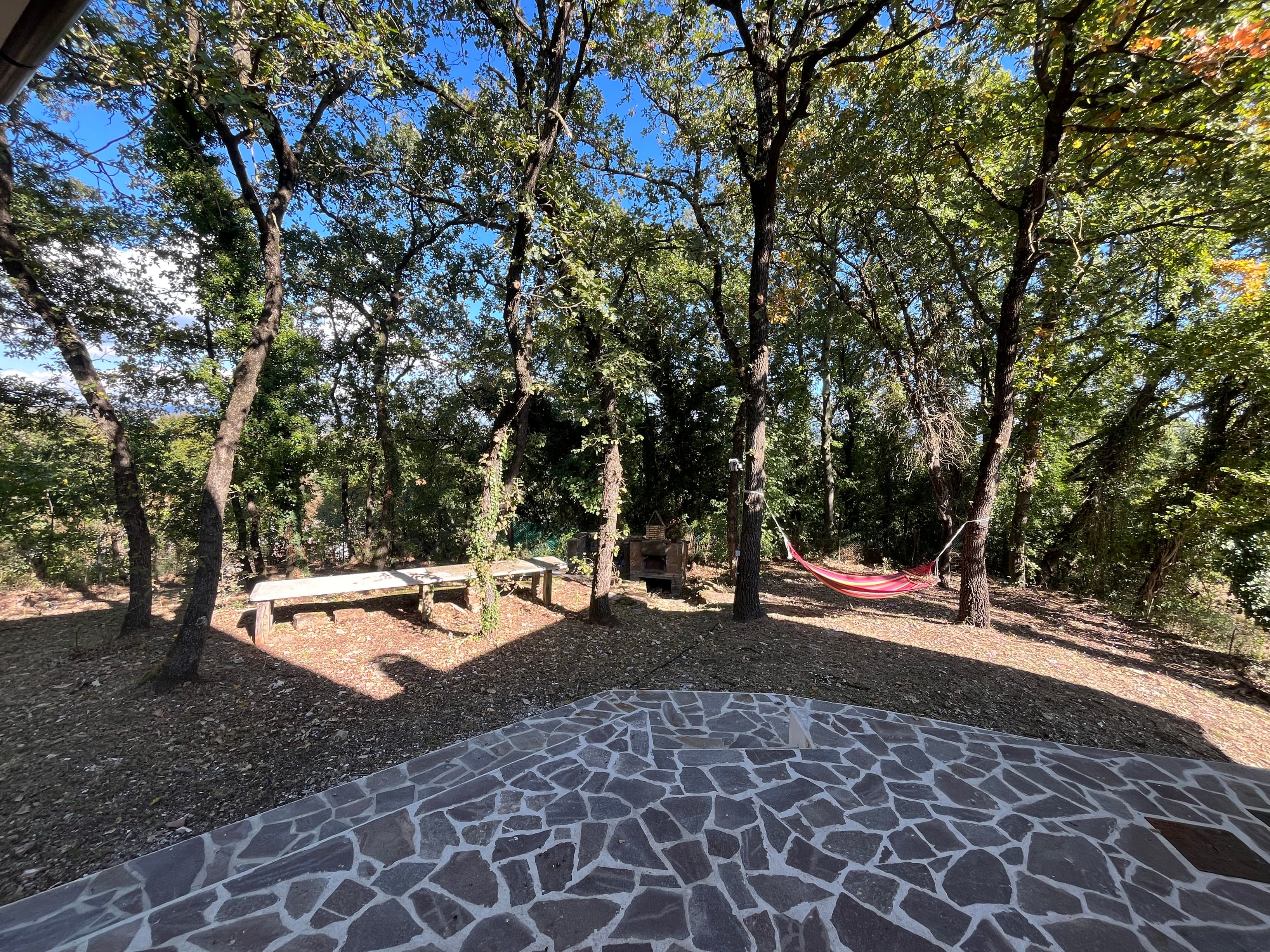 Back Garden