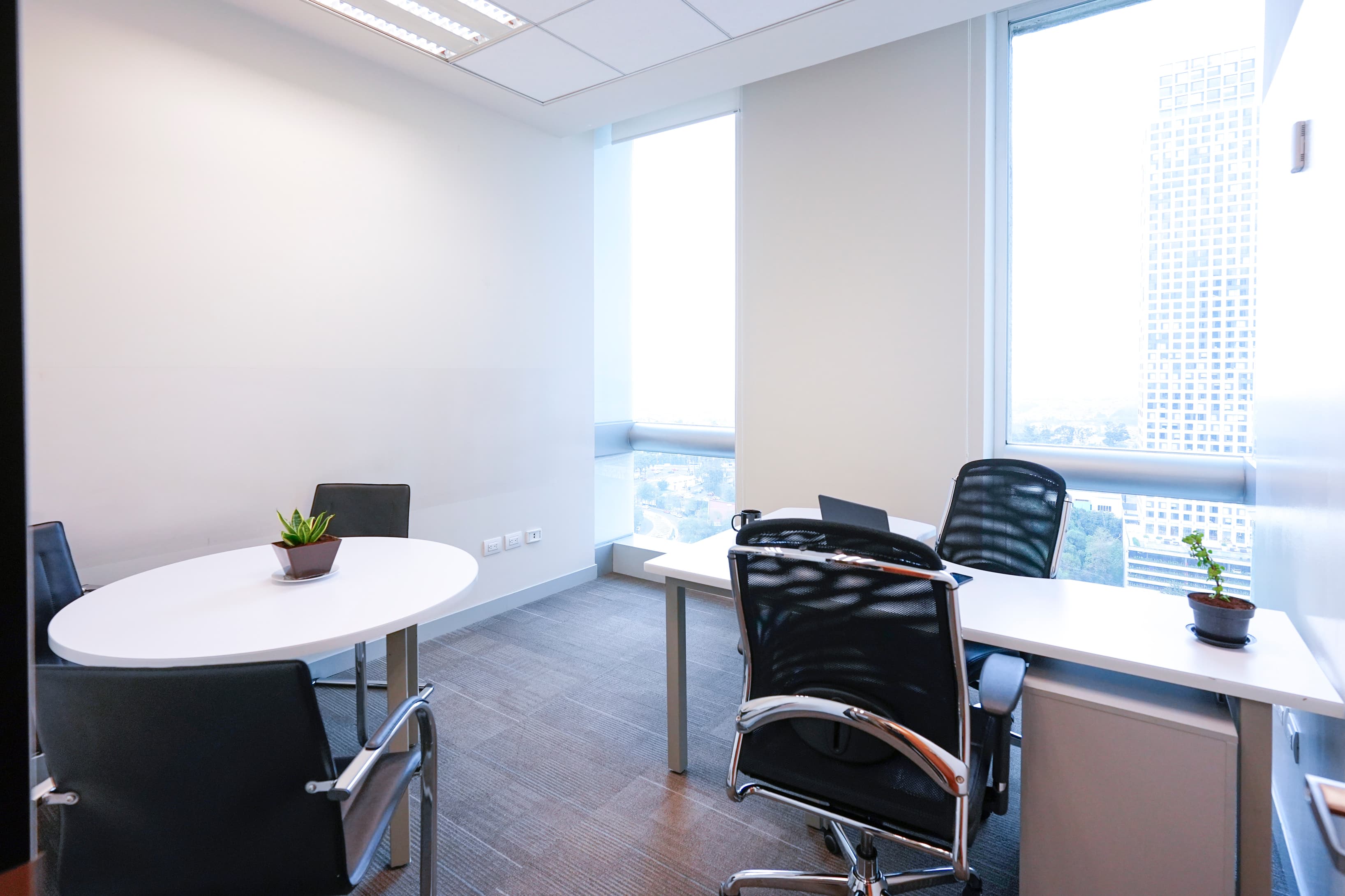 Offices that adapt to the needs of your company.