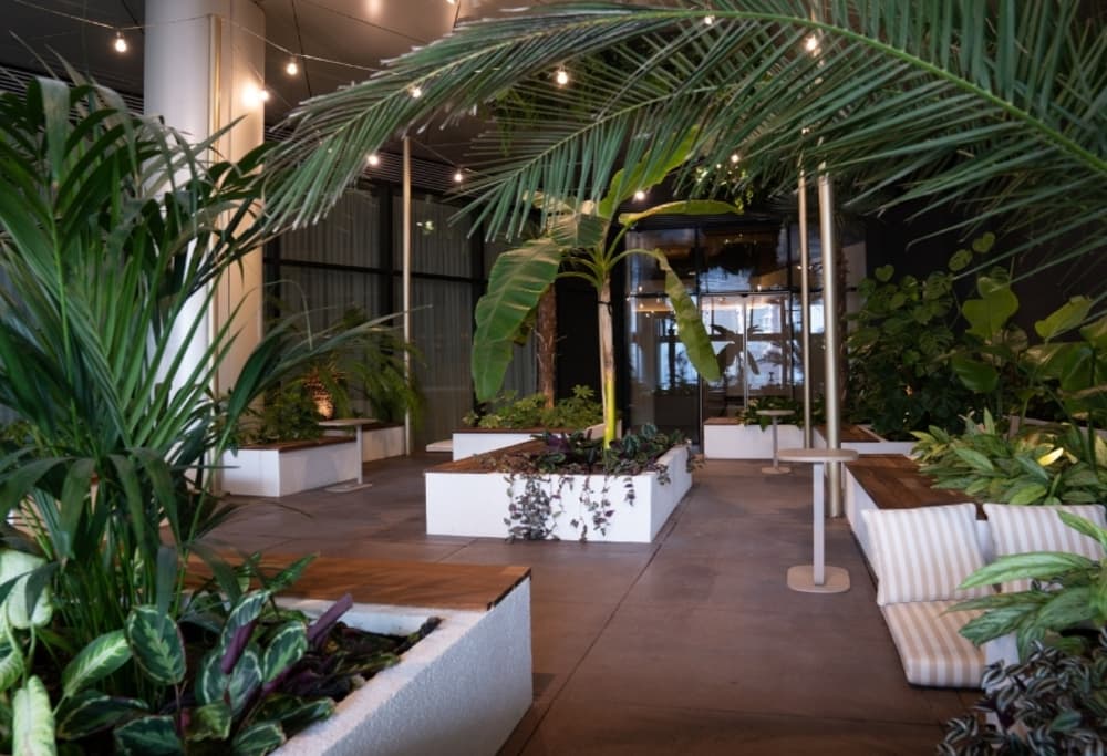 Urban Garden
