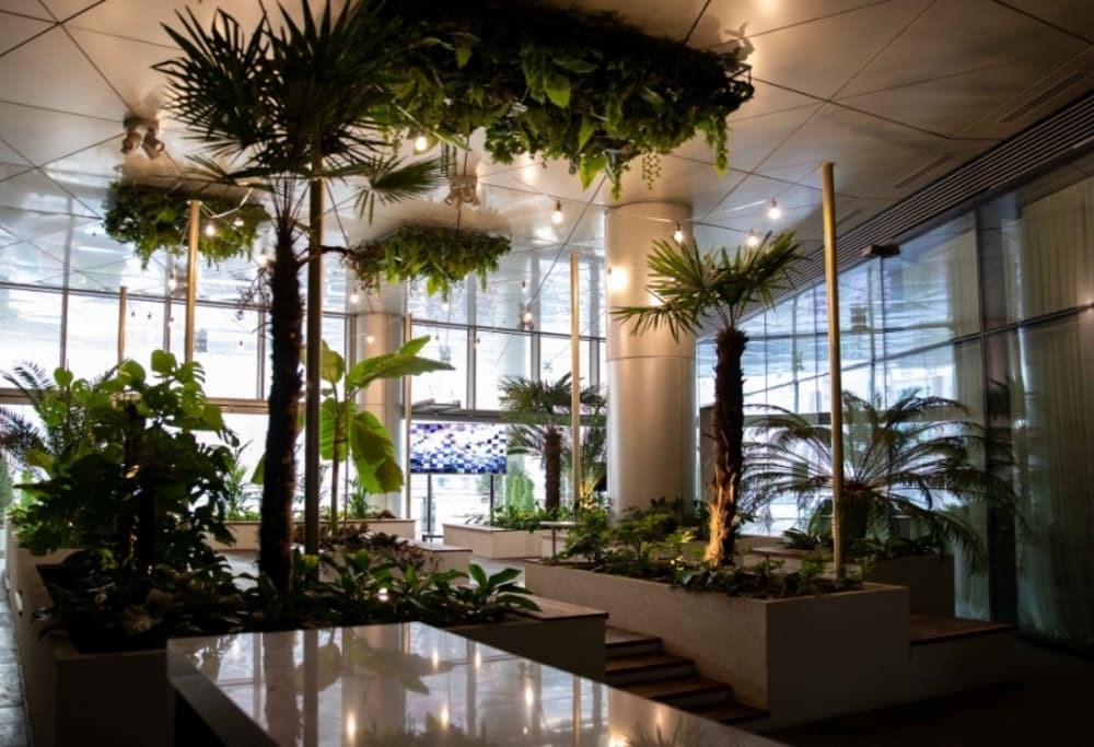 Urban Garden