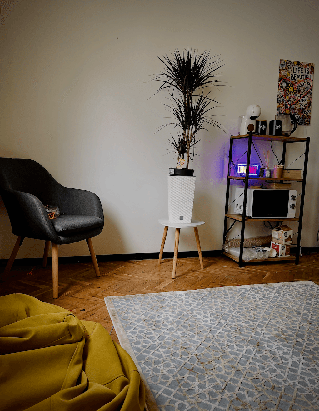 lounge zone lounge zone