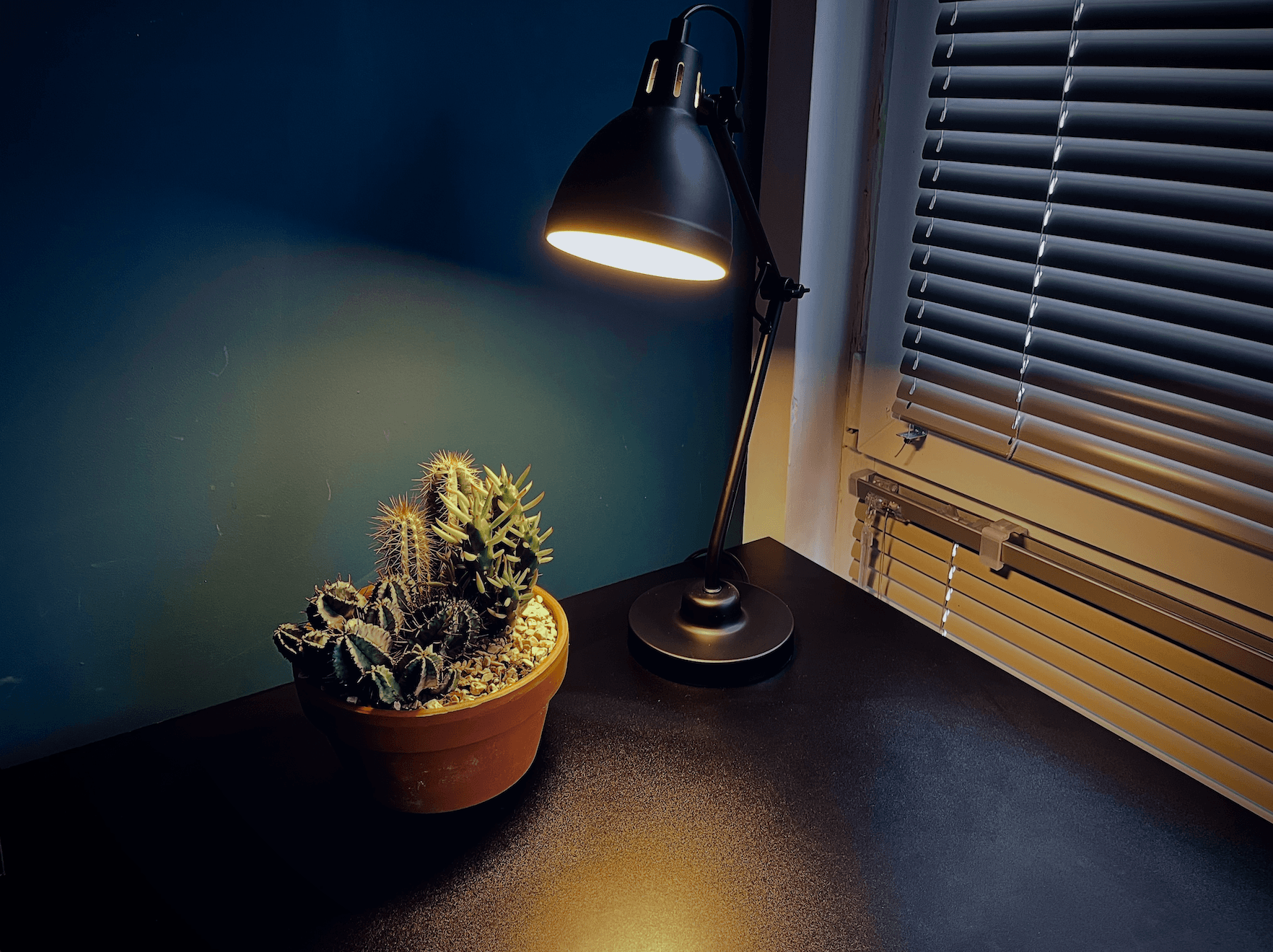 main working space main working space