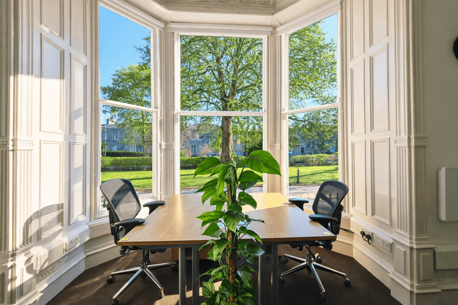 Coworking Window Desk Coworking Window Desk
