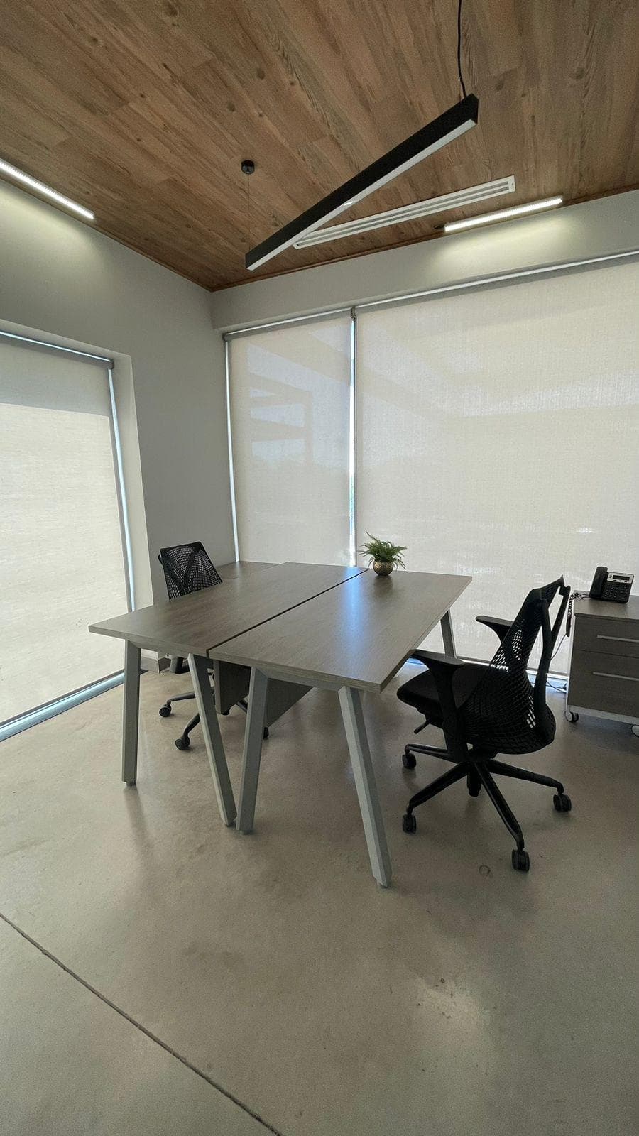 Oficina privada Kino