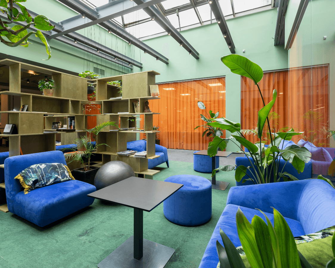 lounge zone lounge zone