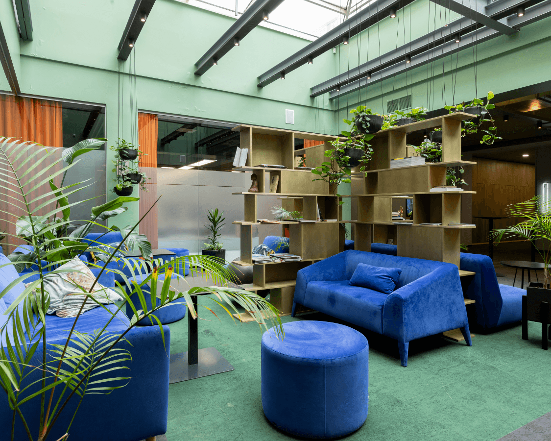 lounge zone lounge zone