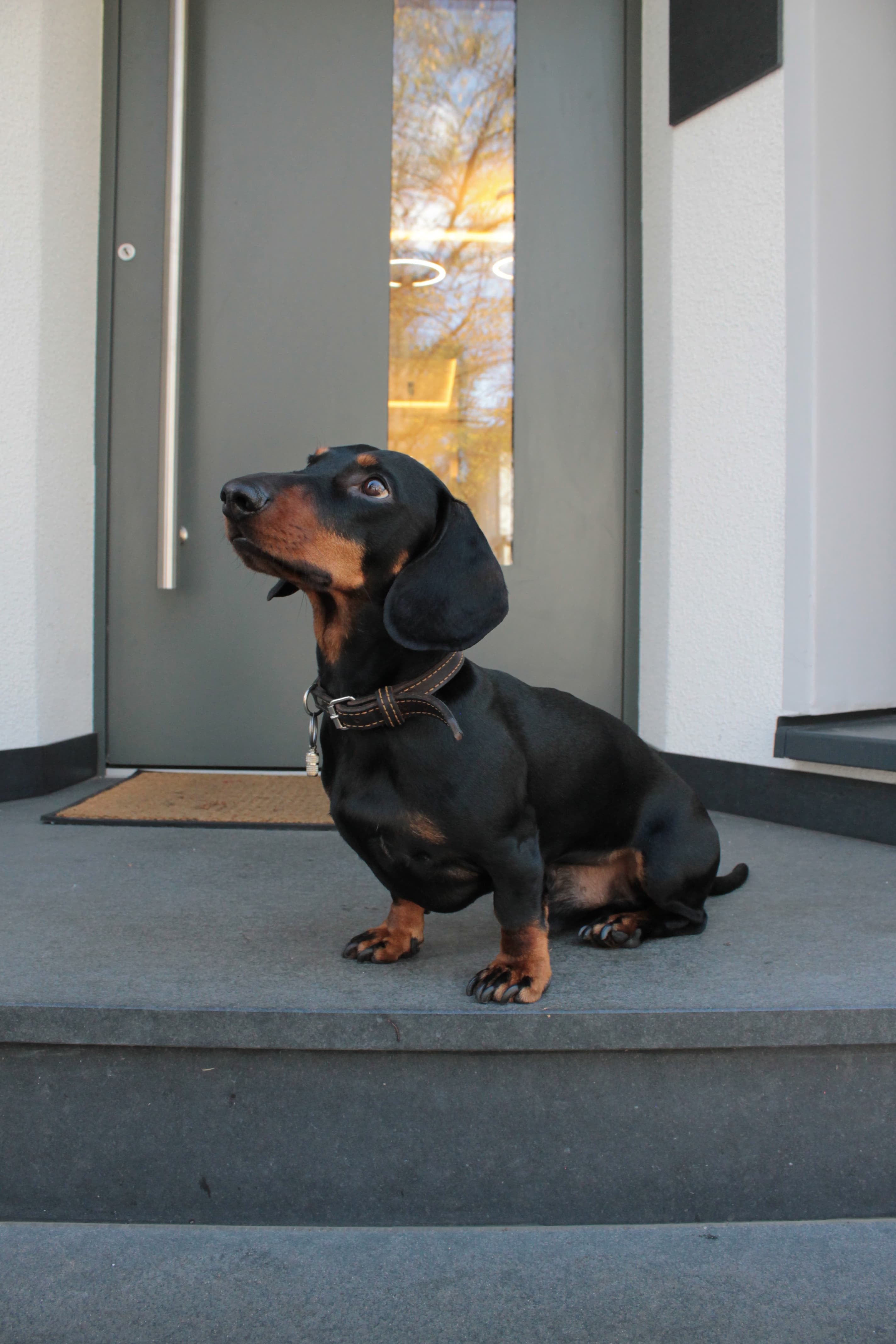 Die Schackstraße 8 liegt zentral im Hindenburgviertel und ist im Nu erreichbar.