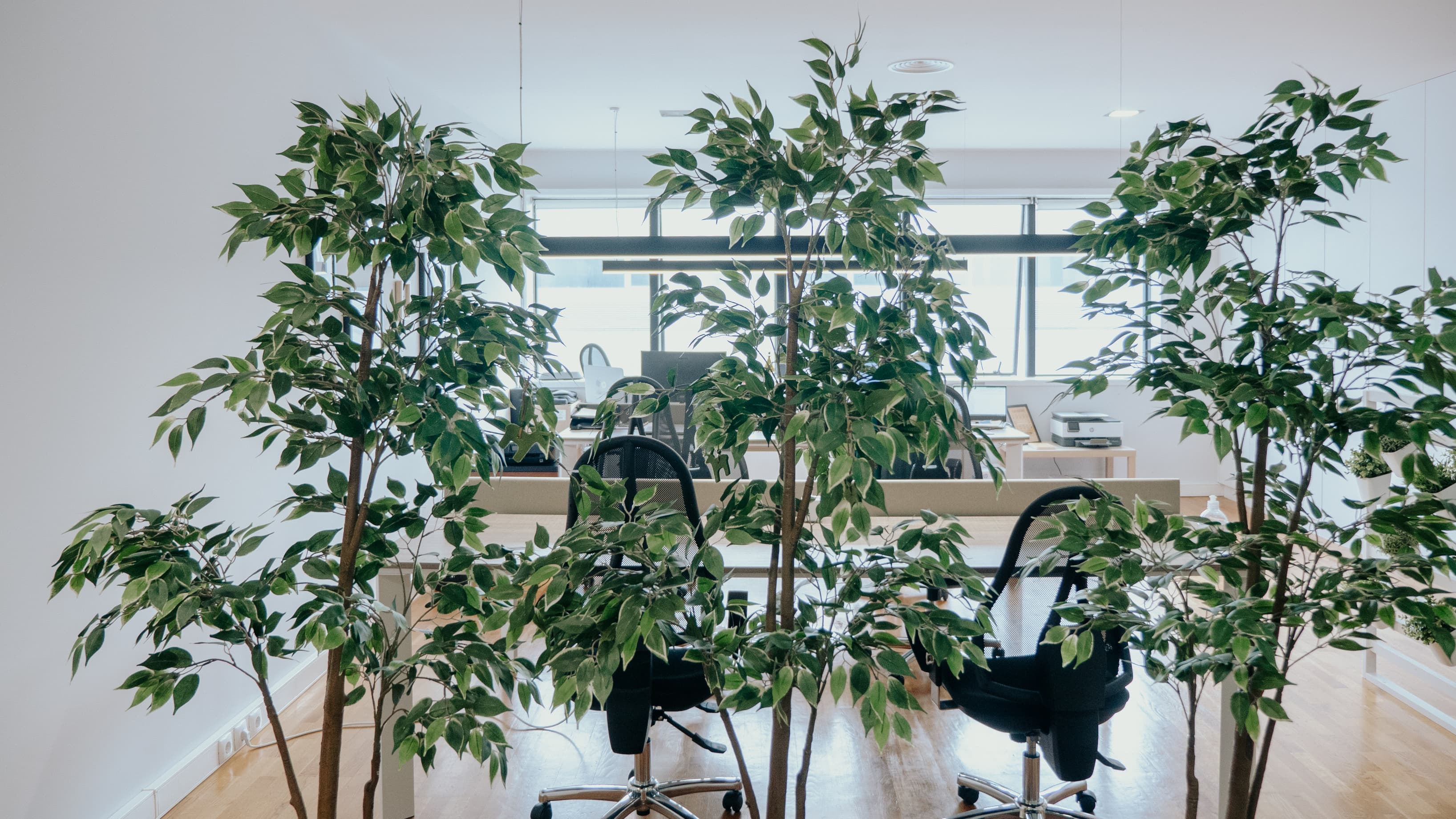 My Desk Coworking Solutions My Desk Coworking Solutions