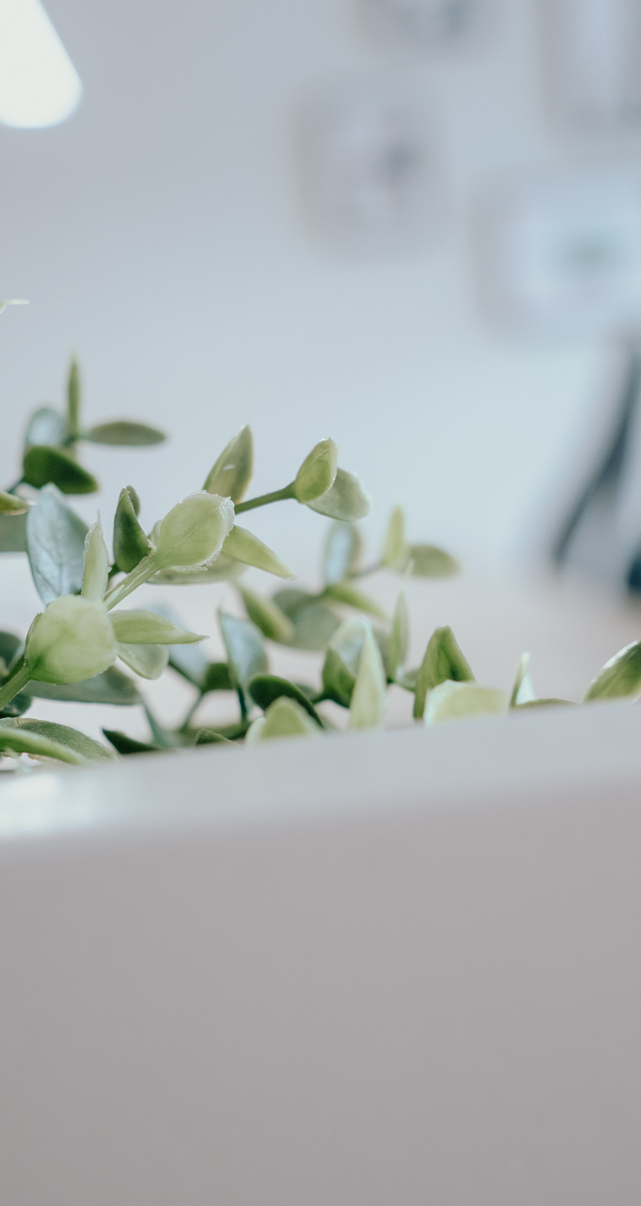 My Desk Coworking Solutions My Desk Coworking Solutions