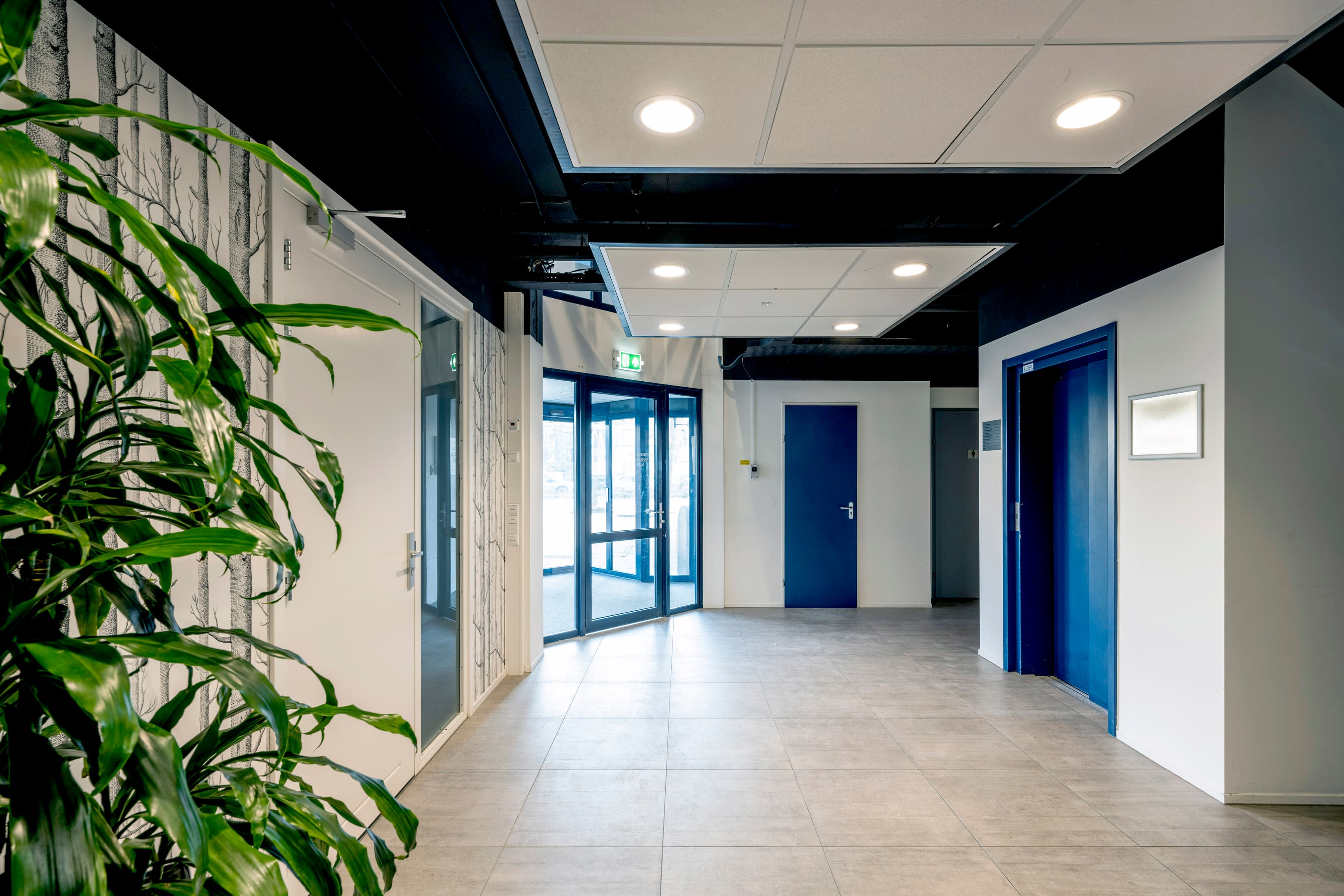 Bright and modern common area with lift access, greenery and a professional entrance zone