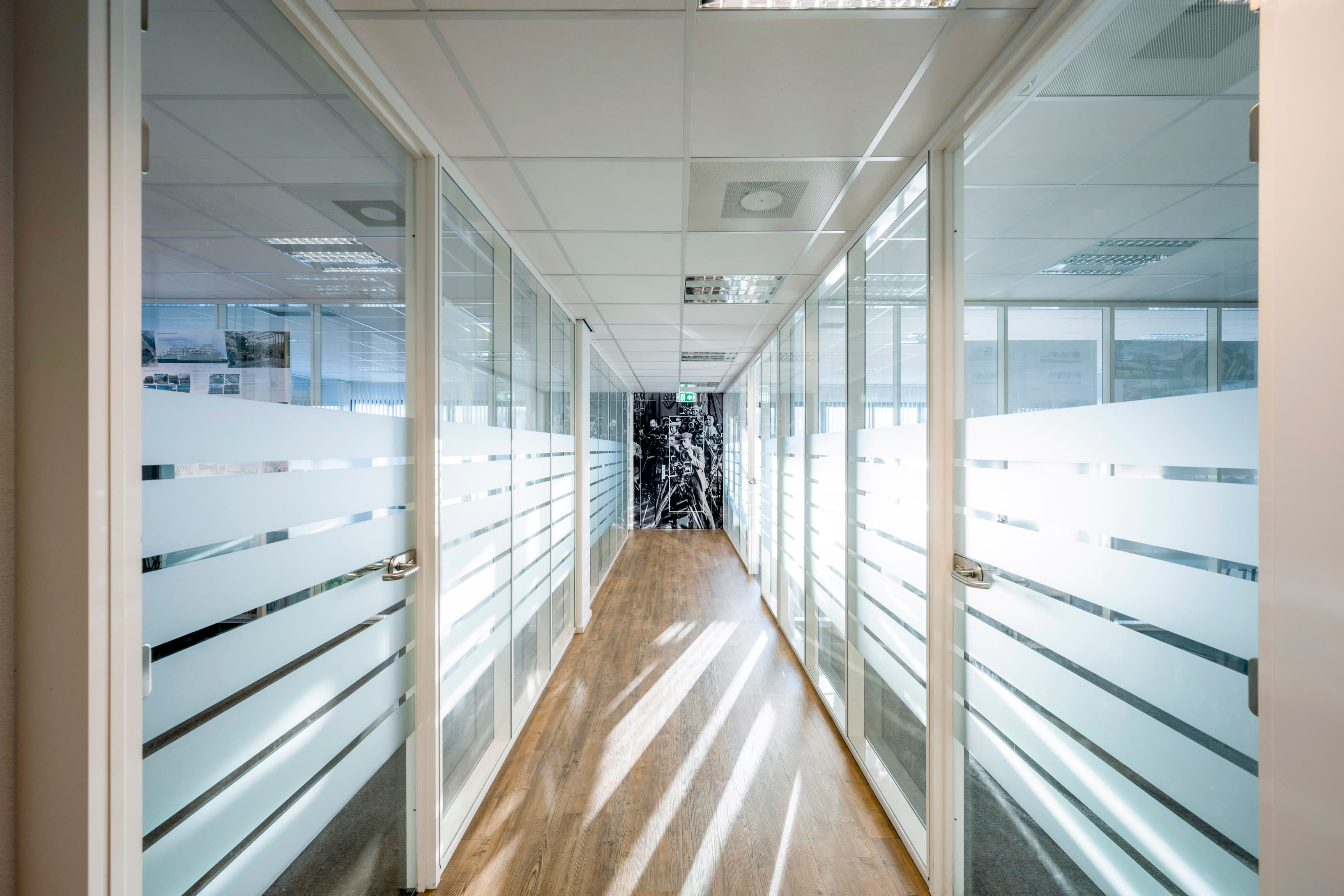 Light-filled office corridor with glass-partitioned workspaces and a clean, professional finish